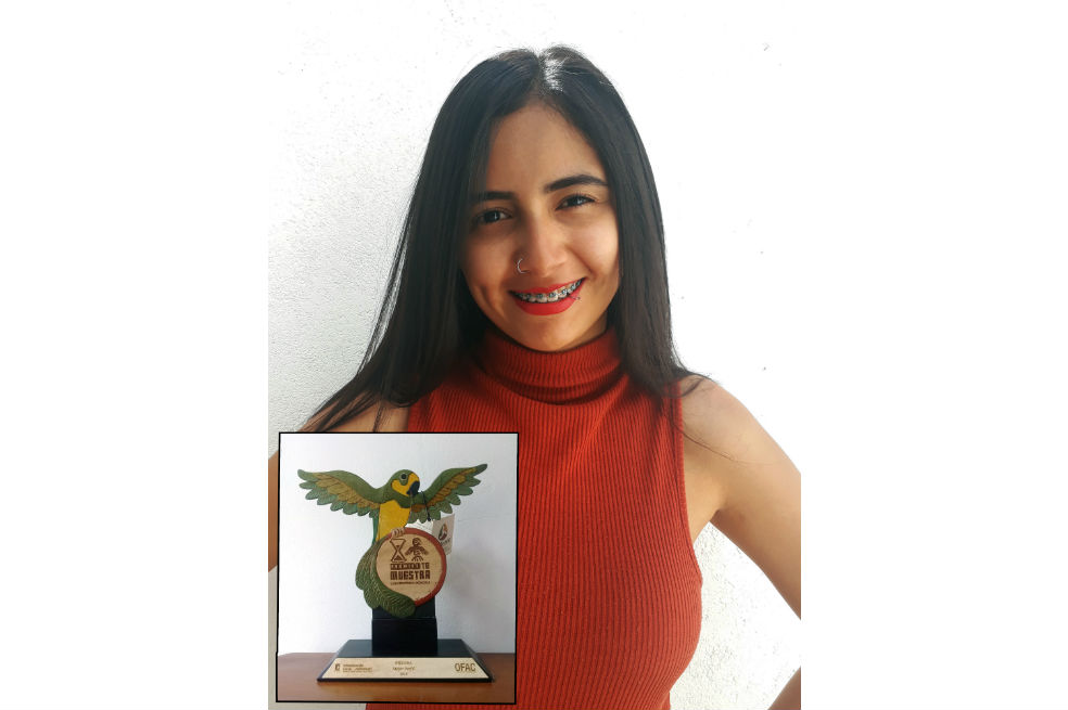 Las pausas de un día común
