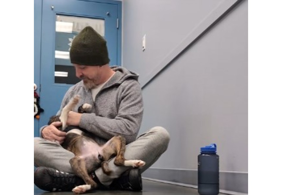 El conmovedor abrazo de una perrita al ser adoptada por su nueva familia (video)