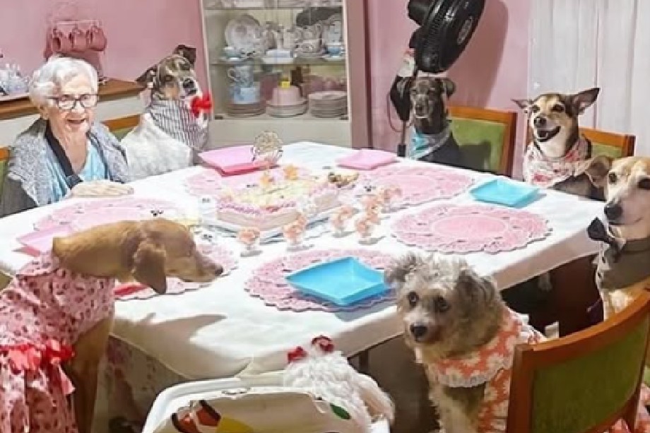 Mujer decidió celebrar su cumpleaños 91 con sus 10 perros: “Son mi compañía más fiel”