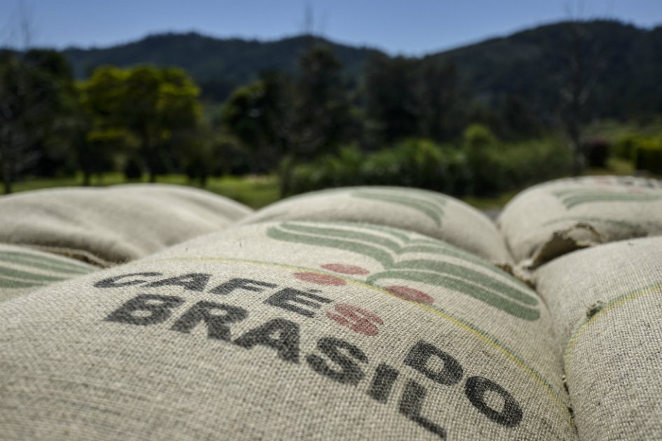 Cosecha brasileña de café se encogerá 7 % por problemas climáticos