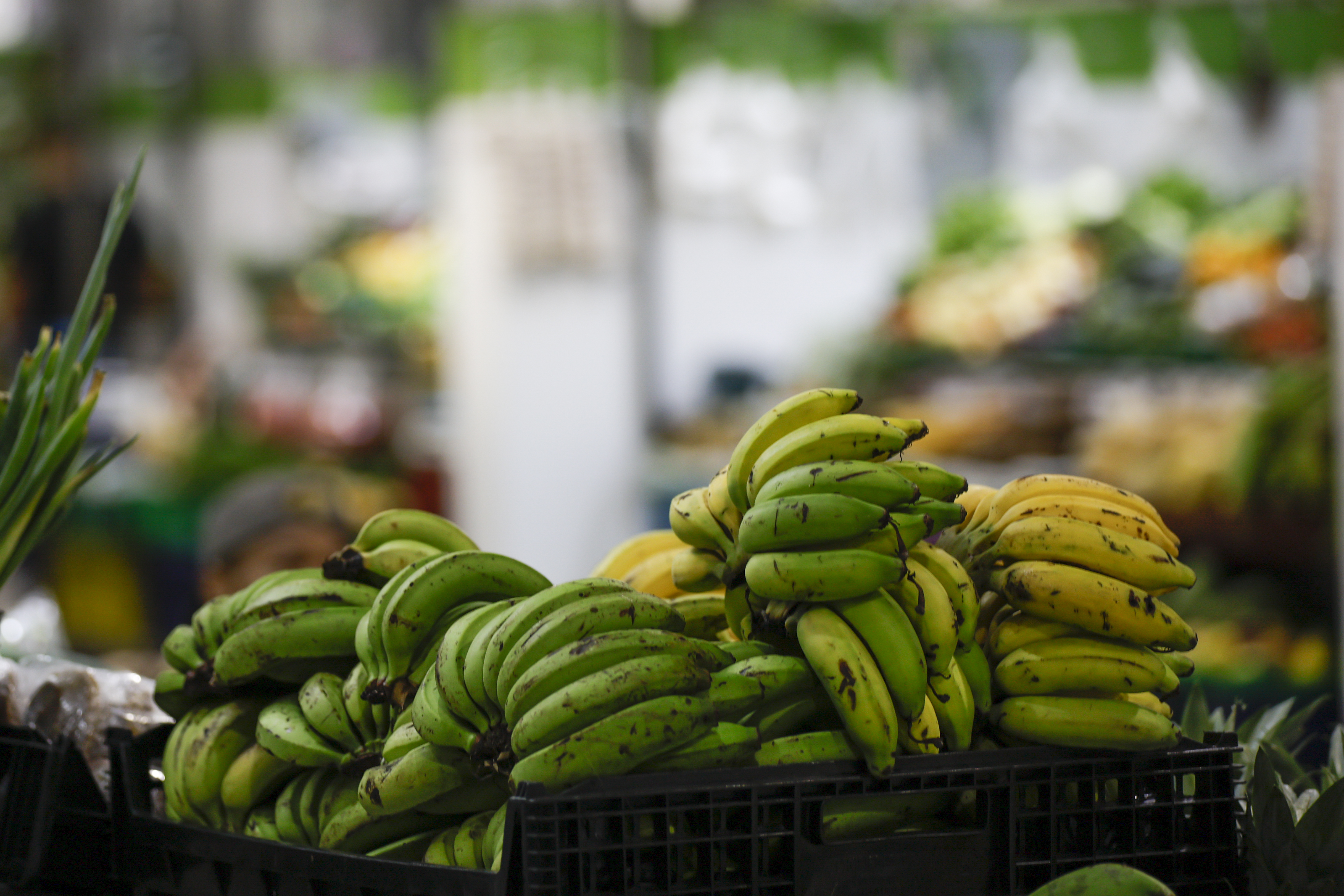 Por qué ahora va a tener que pensar en cambio climático cuando coma banano