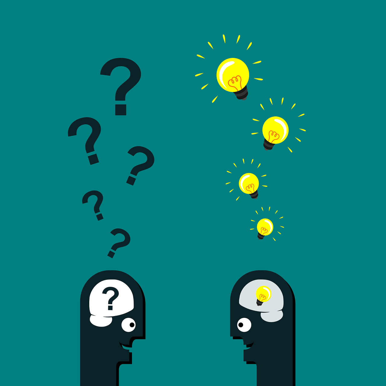 ¿Inteligencia inferior?