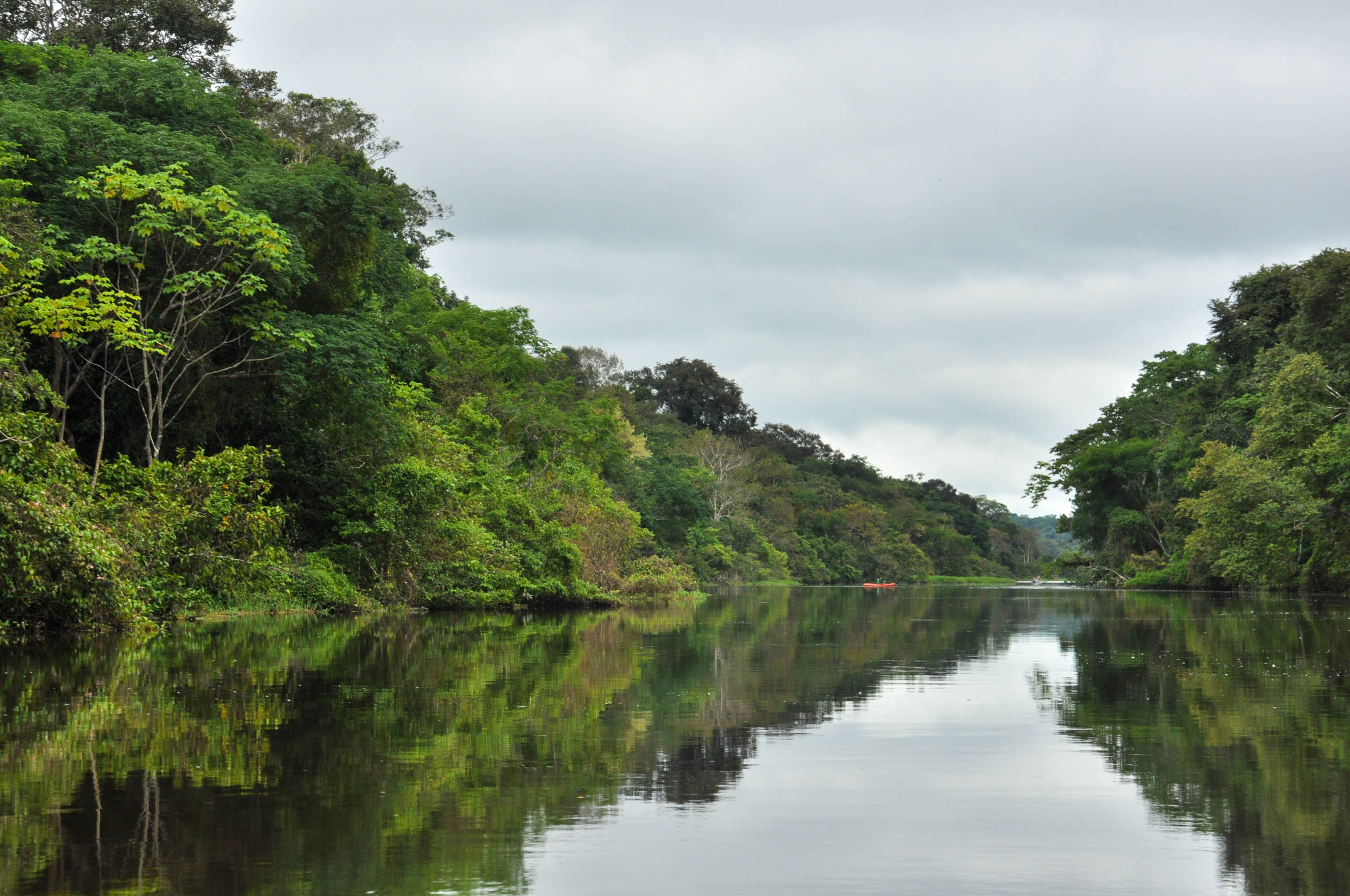 Los bosques y ríos de Puerto Nariño siguen estando en riesgo ante las economías ilegales y los múltiples intereses económicos que hay sobre la selva amazónica. Foto: Esteban Tavera