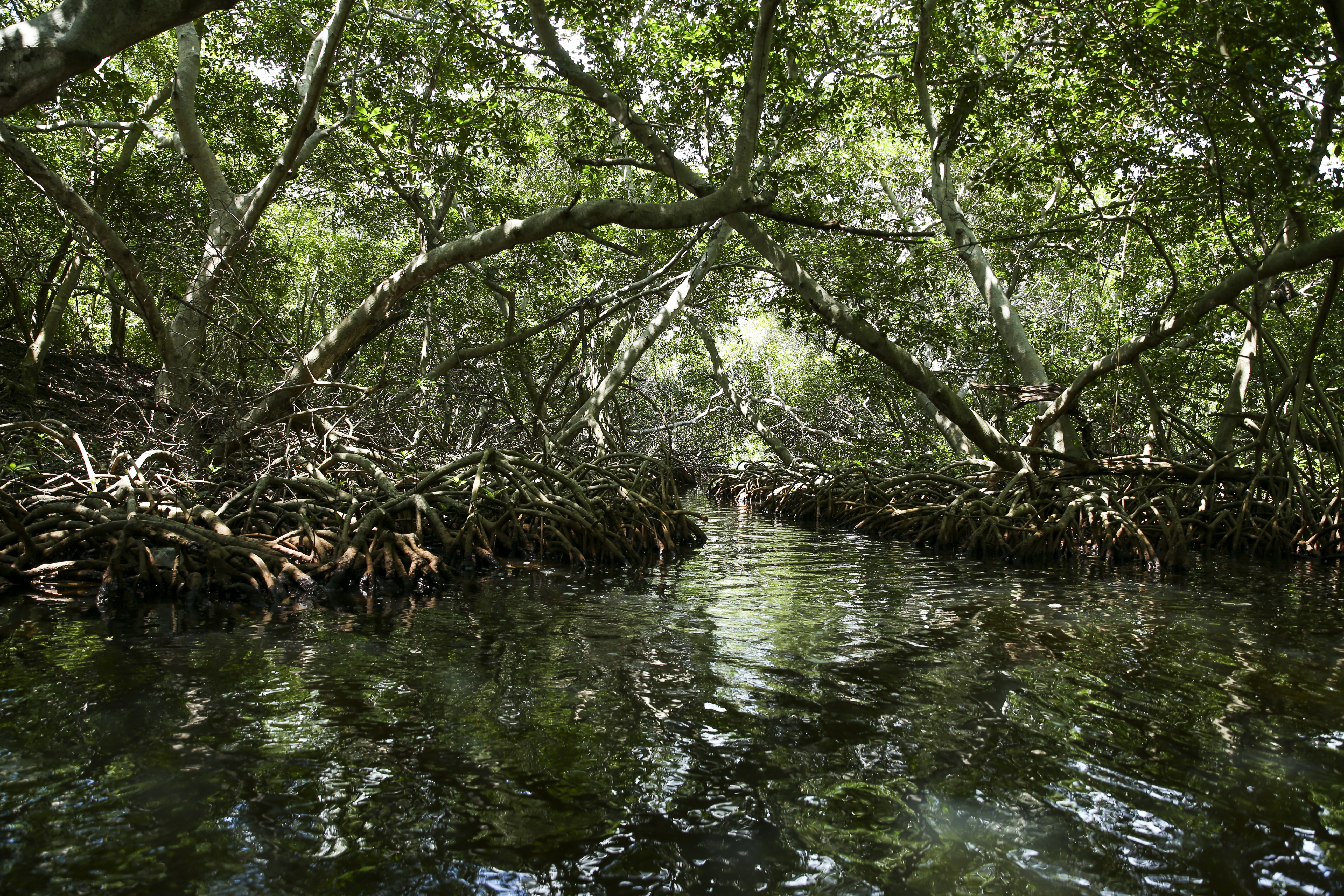 Parque Nacional Natural Corales del Rosario y de San Bernardo