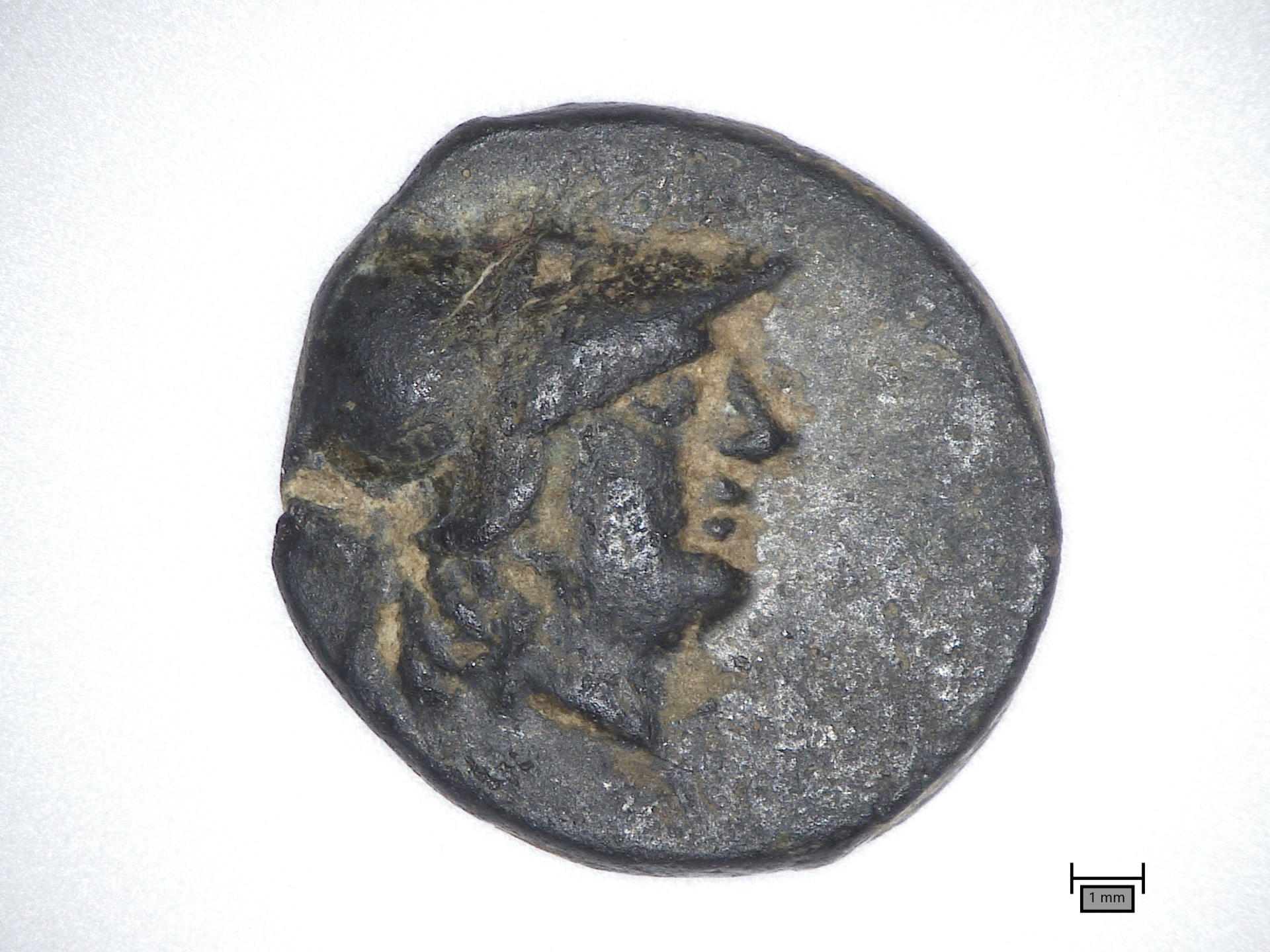 Niño halló una moneda del III a. C. en Berlín, primer indicio de antigua Grecia en la región