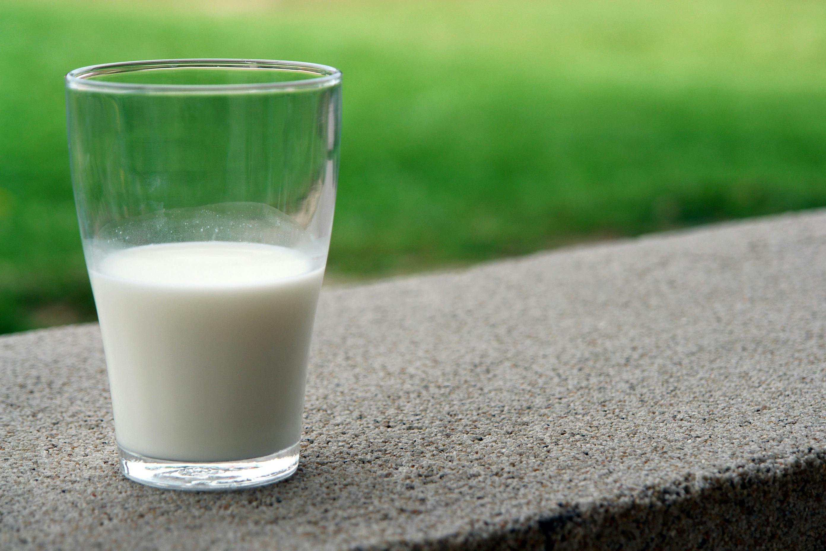 Leche de coco, almendras y avena: recetas para prepararlas en casa