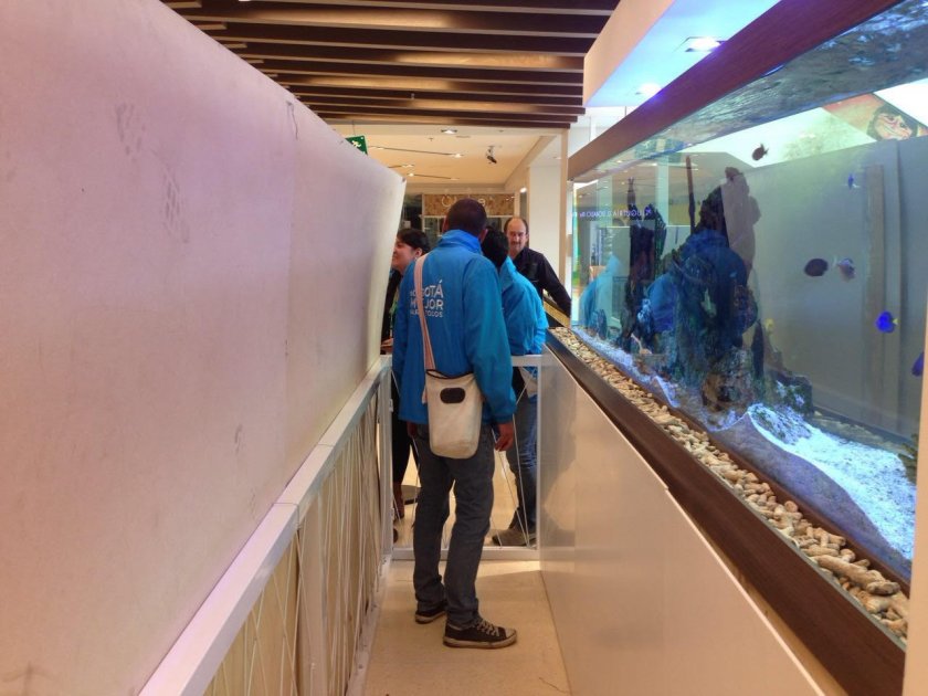 Distrito sacrificó a 40 animales marinos que había incautado en Atlantis