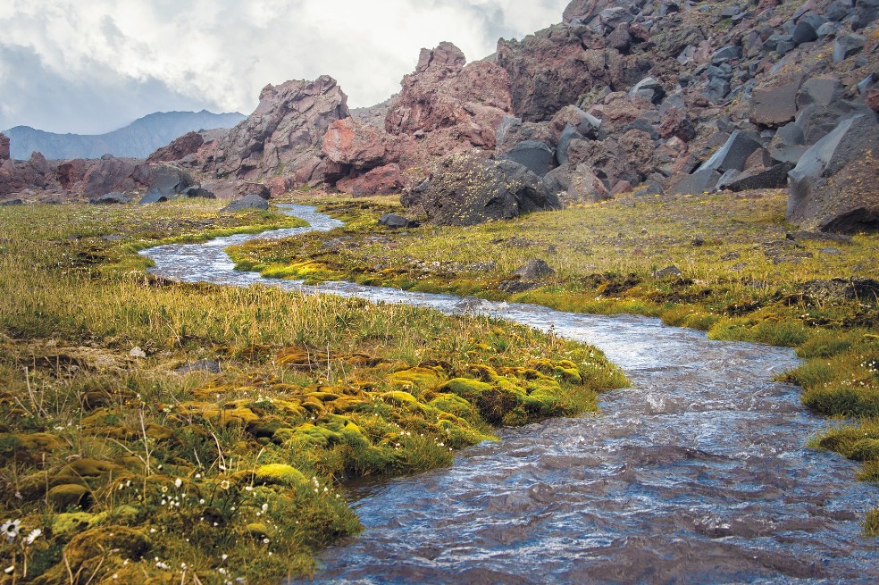 La naturaleza, un aliado ante la crisis económica que dejó el COVID-19