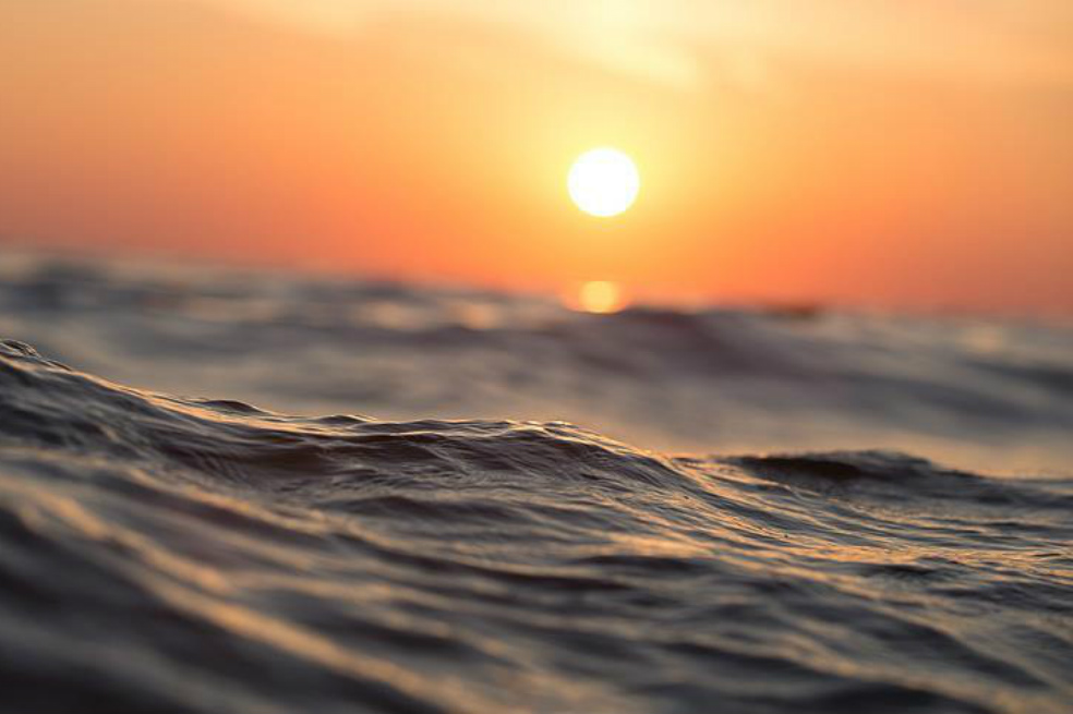 Joven sobrevive 49 días a mar abierto en una trampa para peces