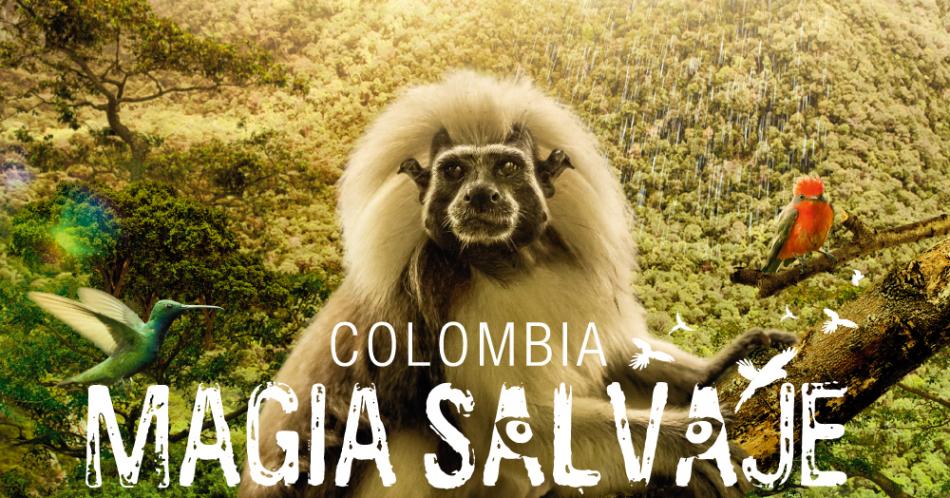 Fonseca y Carlos Vives le cantan a la magia salvaje colombiana