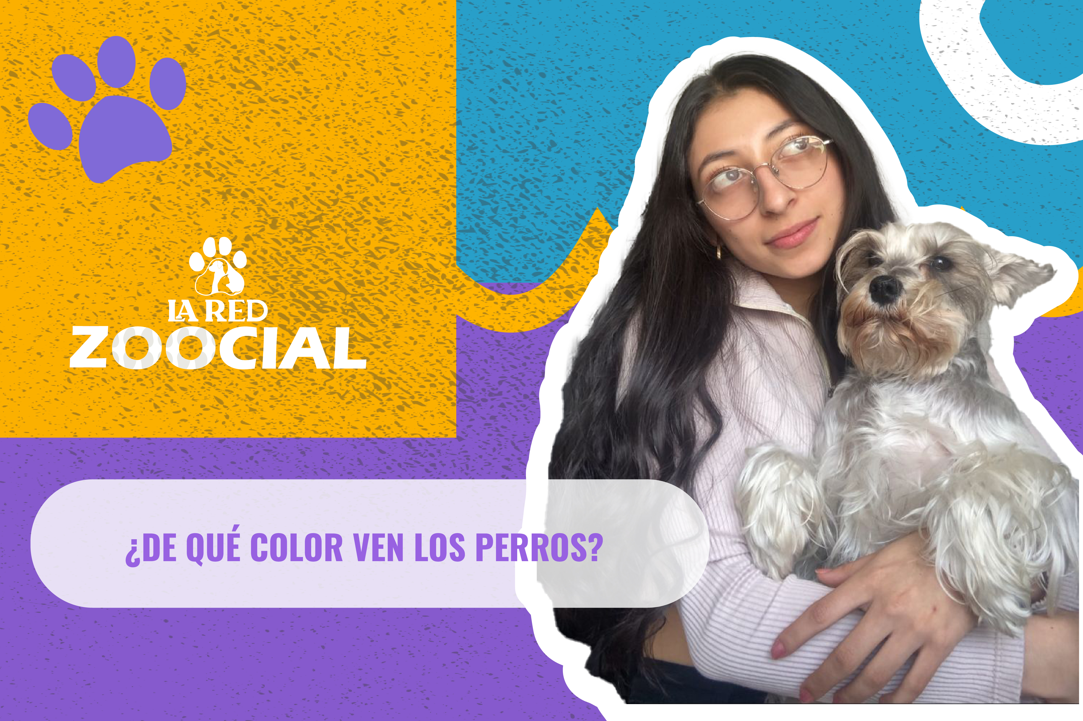 (Video) ¿De qué color ven los perros?