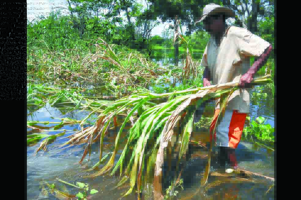 La amenaza del río Cauca