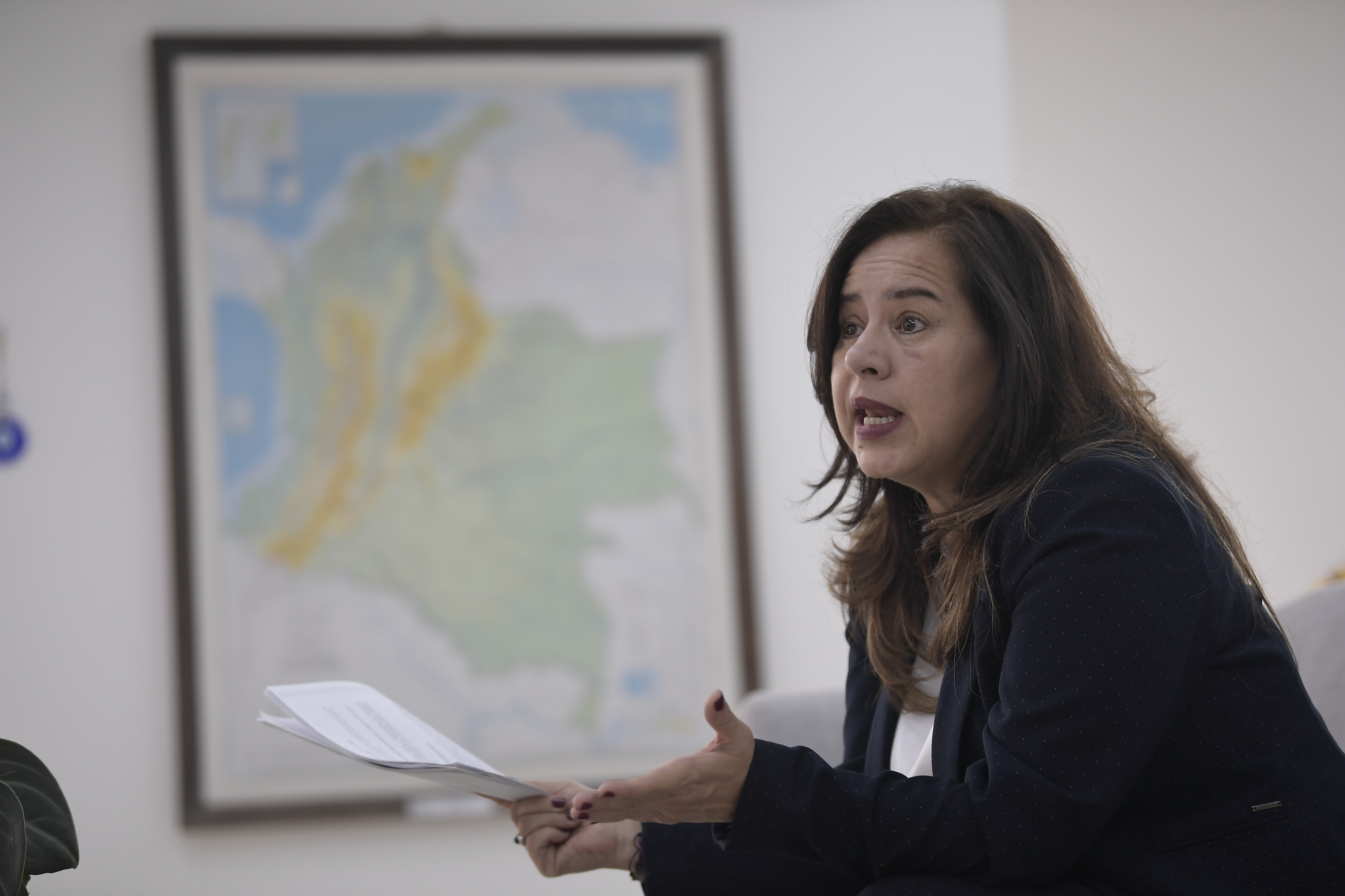 Directora de la Agencia para la Reincorporación y la Normalización (ARN).
