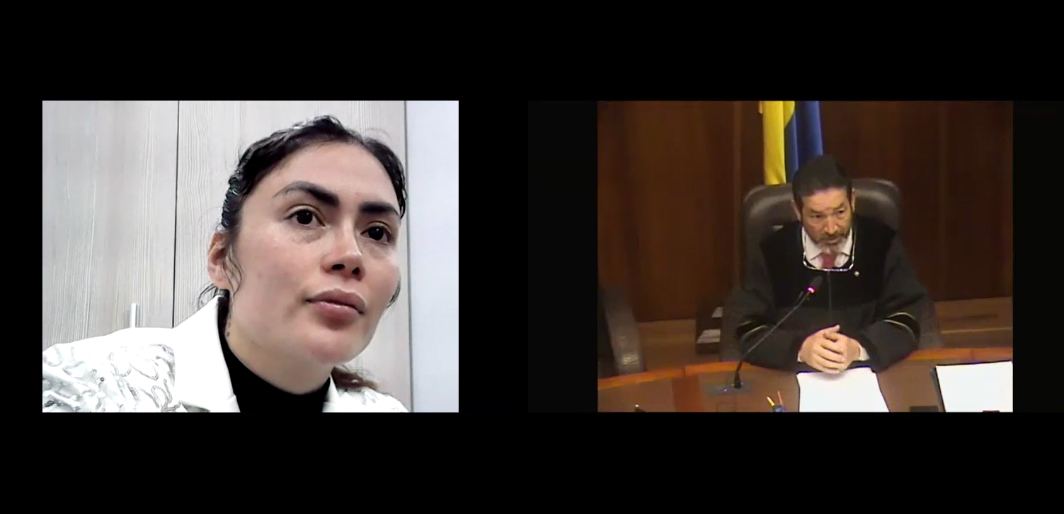 En la mañana del miércoles 29 de enero de 2025, el magistrado Fernando Bolaños leyó la confirmación de la condena en contra de la creadora de contenido.