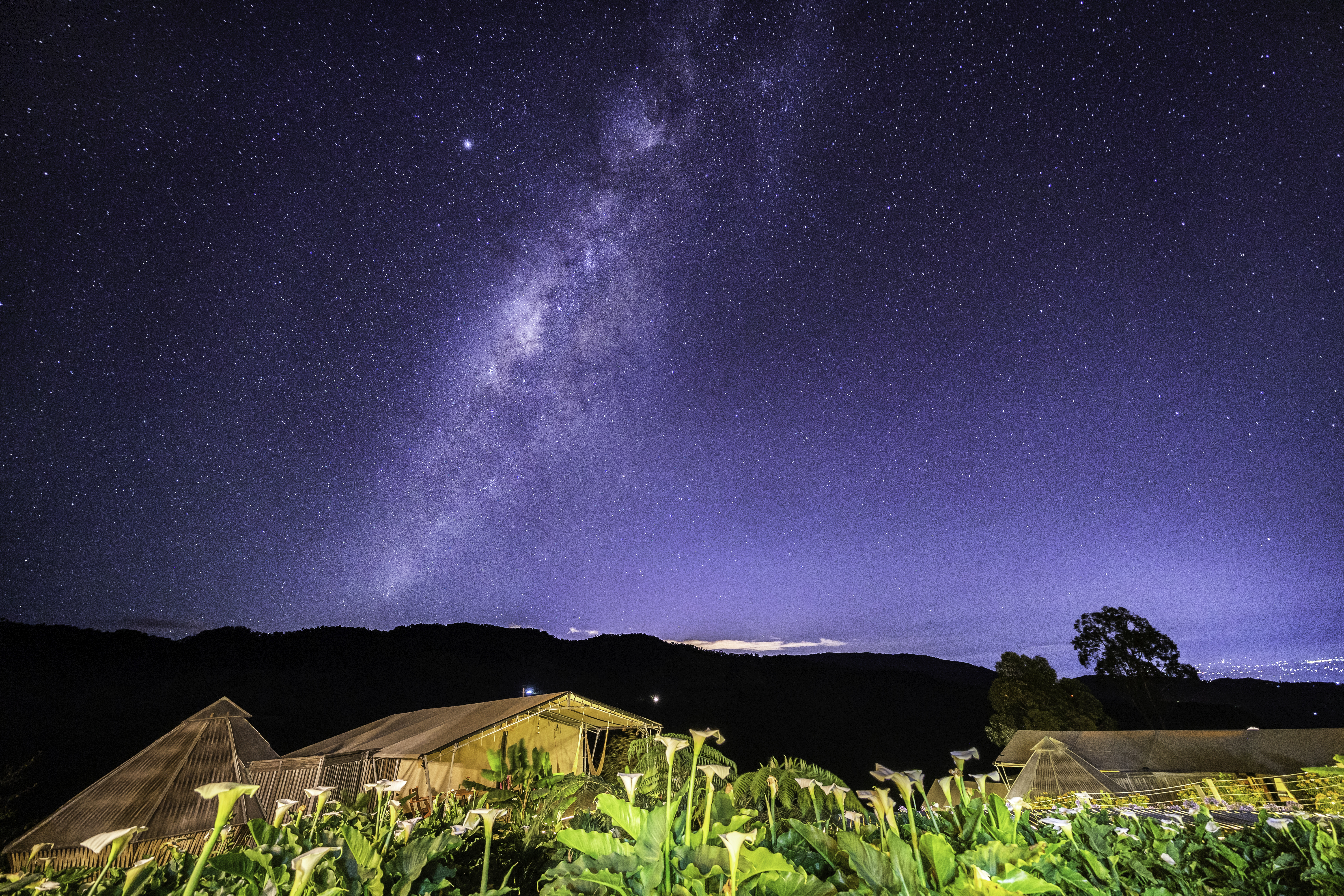 El Nido del Cóndor Ecolodge, en Caldas, es un proyecto familiar que busca la restauración de la fauna y flora.