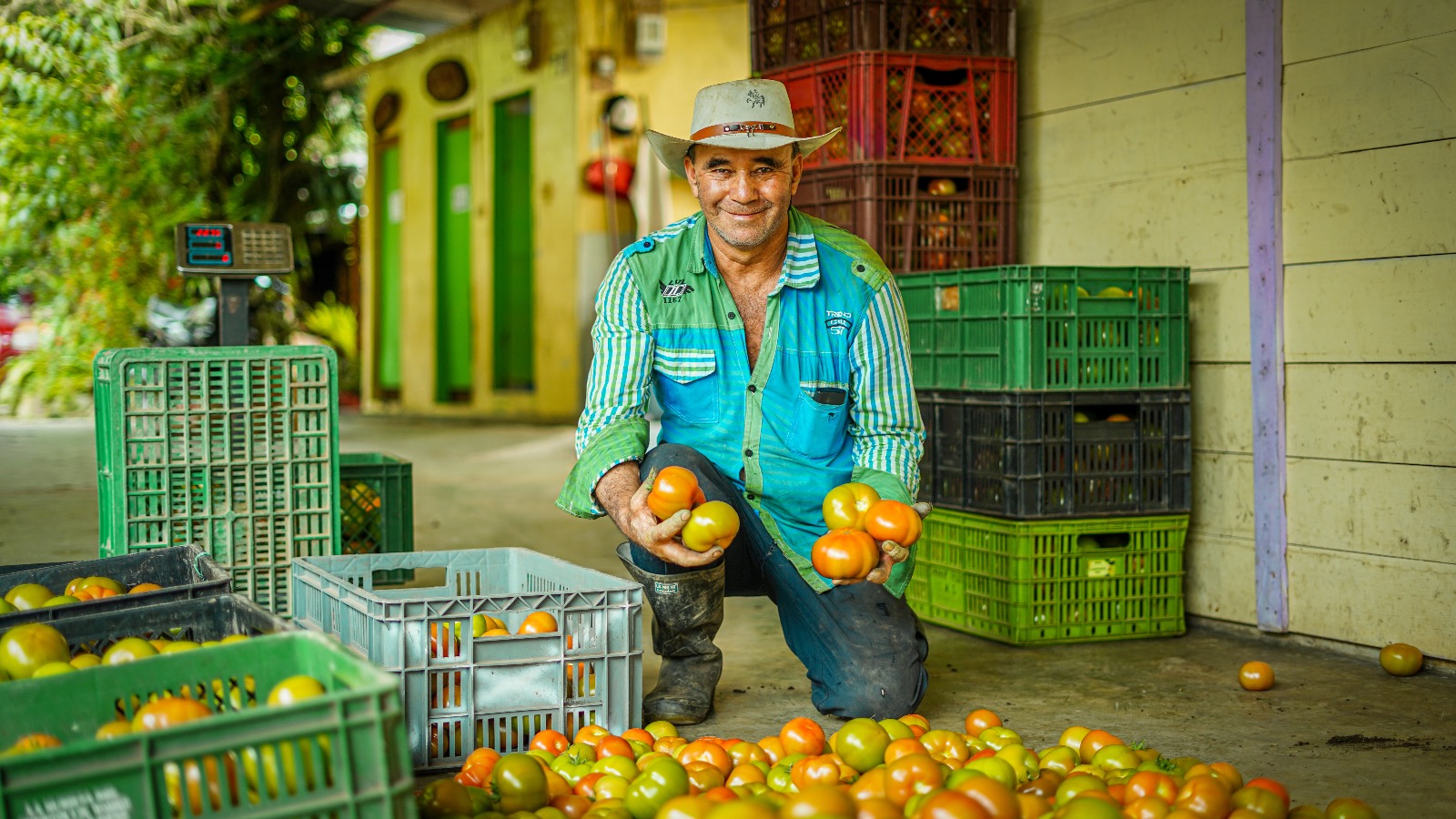 ¡Inscríbase! El Gobierno busca campesinos para implementar proyectos productivos