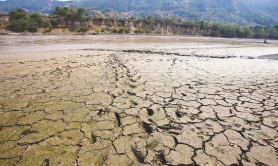Solo hay 5% de probabilidad de cumplir el Acuerdo de París