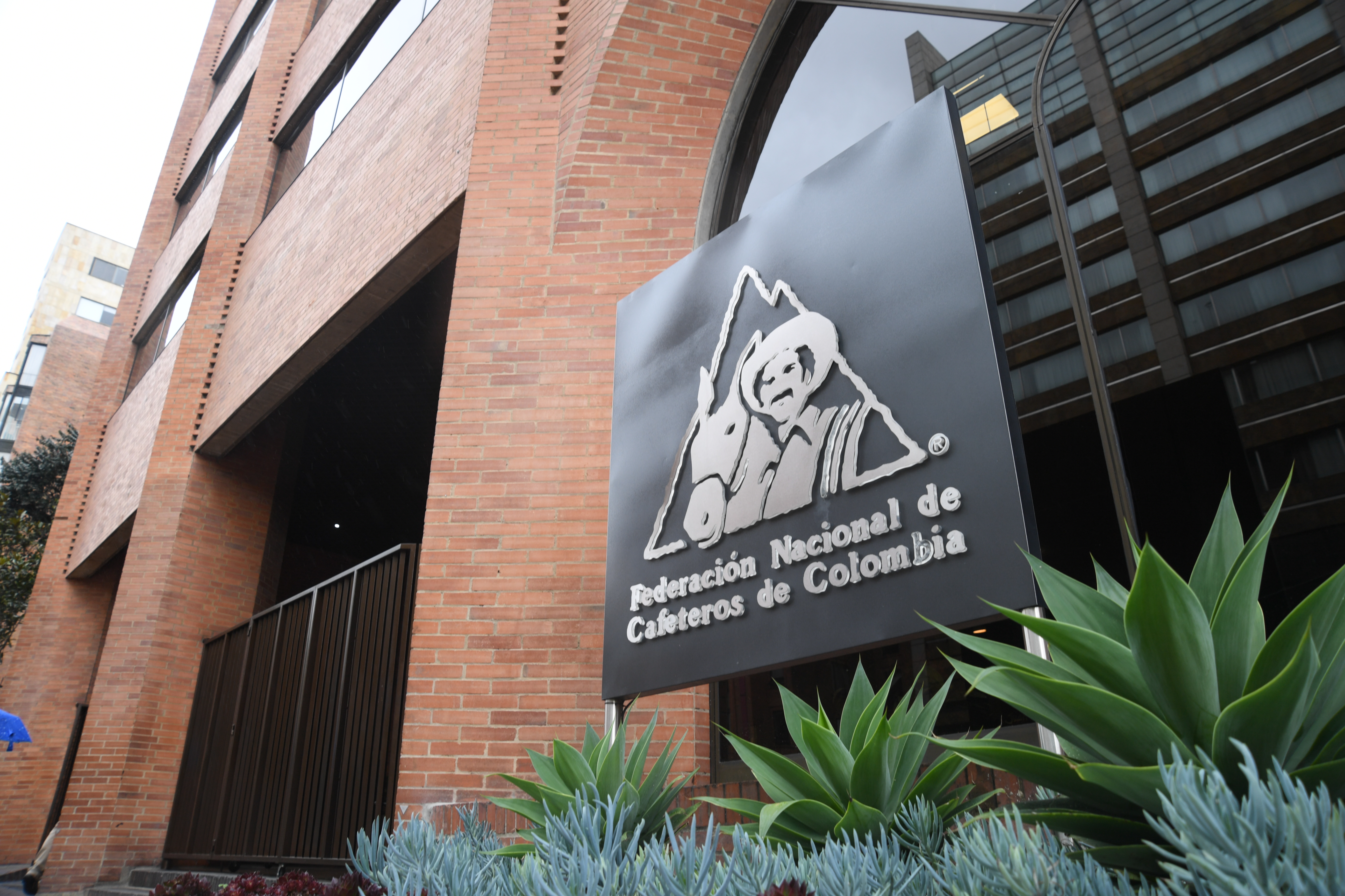 Empresarios piden al gobierno respetar la legitimidad de la Federación Cafetera