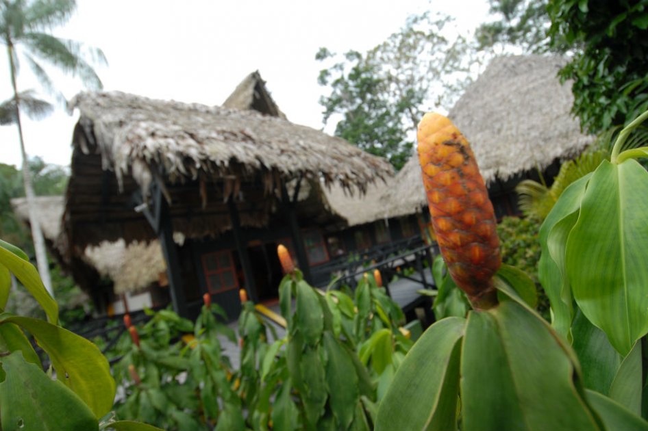 Colombia, entre los que menos invierten en biodiversidad