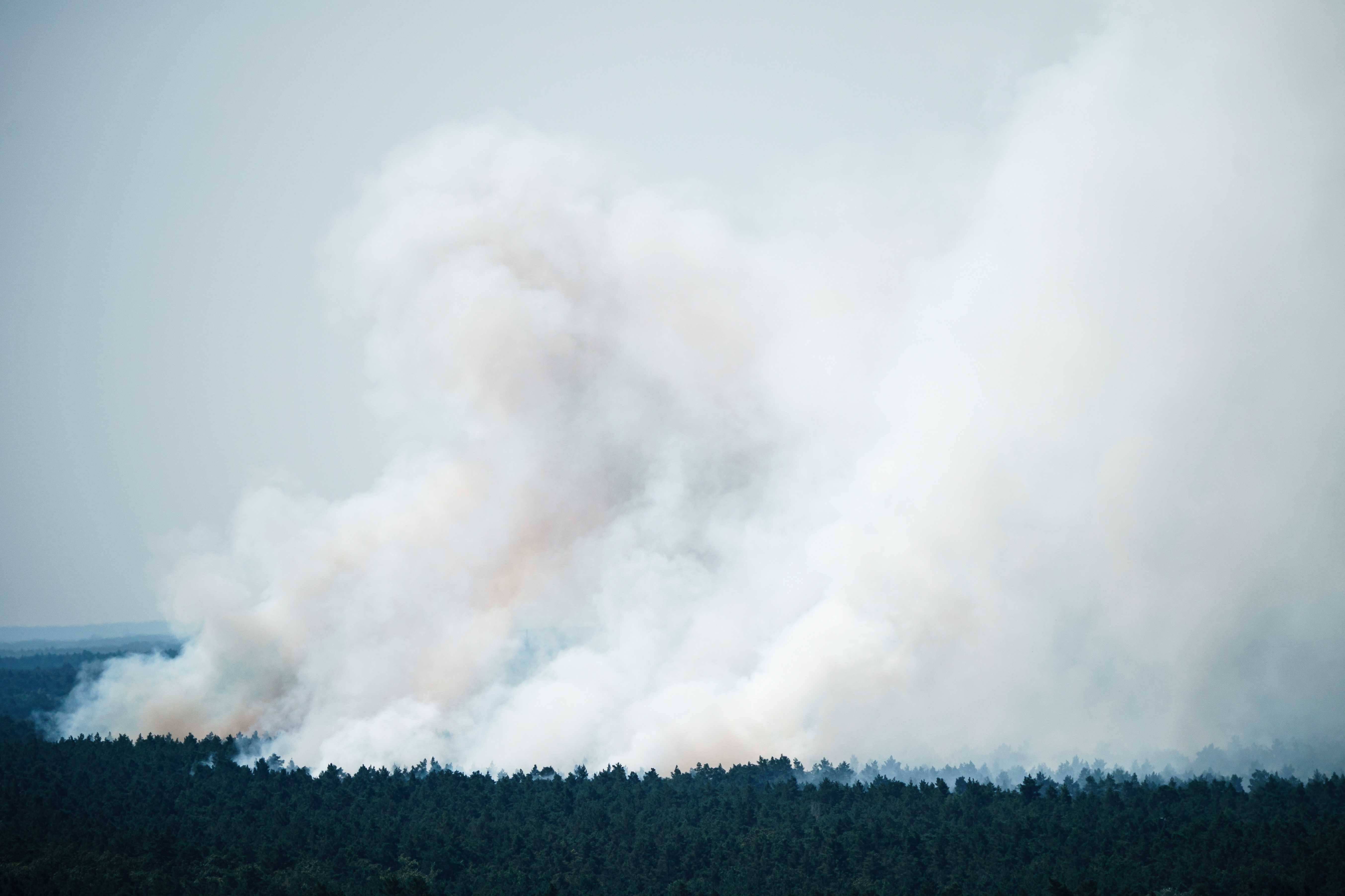 Berlin (Germany), 04/08/2022.- Smoke rises from a forest fire at the Grunewald in Berlin, Germany, 04 August 2022. The Berlin Fire Department reported on their twitter channel about a currently ongoing fire in Grunewald, accompanied with explosions on an ammunition explosion site. (Incendio, Alemania) EFE/EPA/CLEMENS BILAN