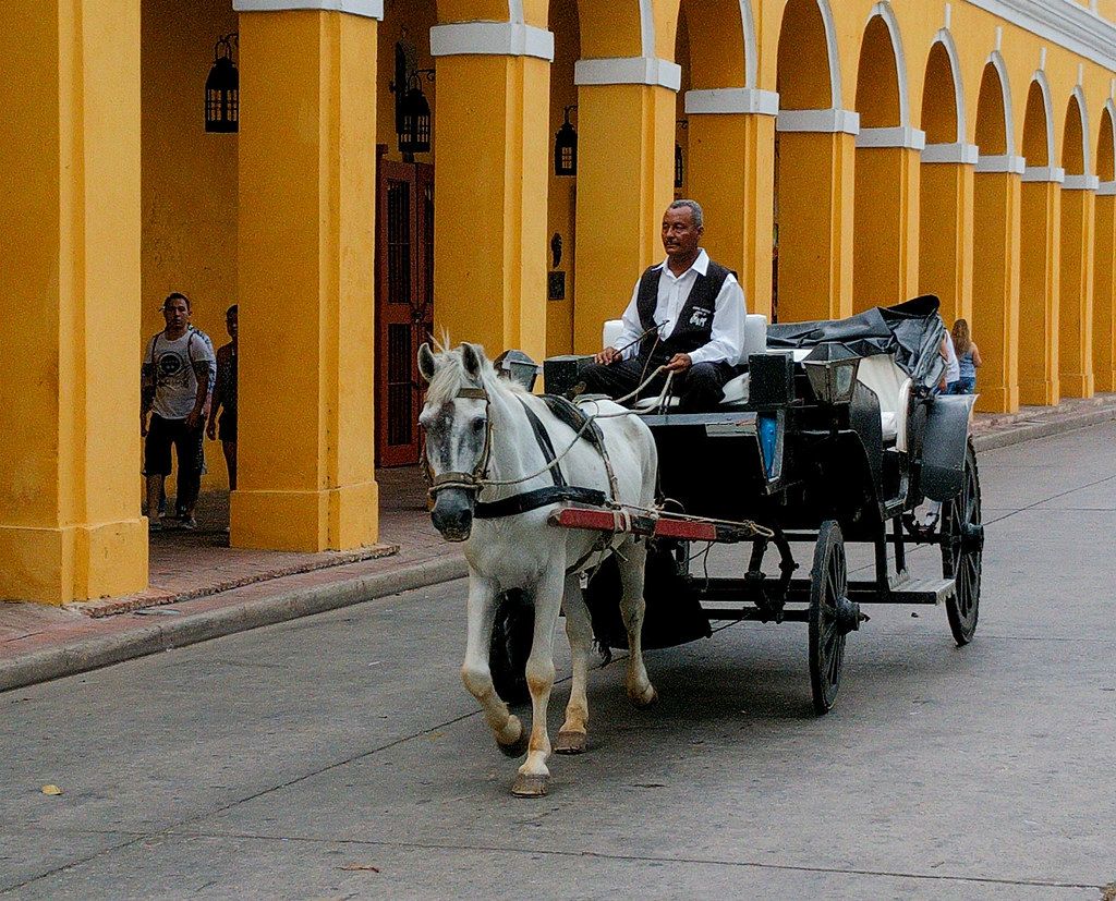 Prohibieron los coches con caballos en Cartagena: hay controversia con cocheros