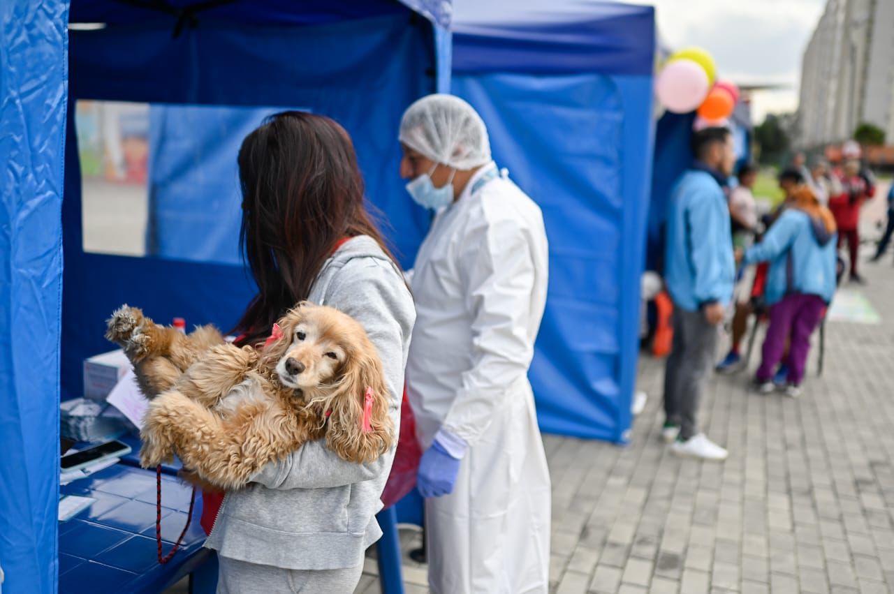 Expopet vuelve a Bogotá con vacunación antirrábica gratuita para perros y gatos