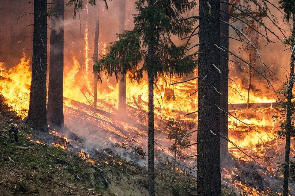 Alerta roja en la región Caribe por amenaza de incendios forestales