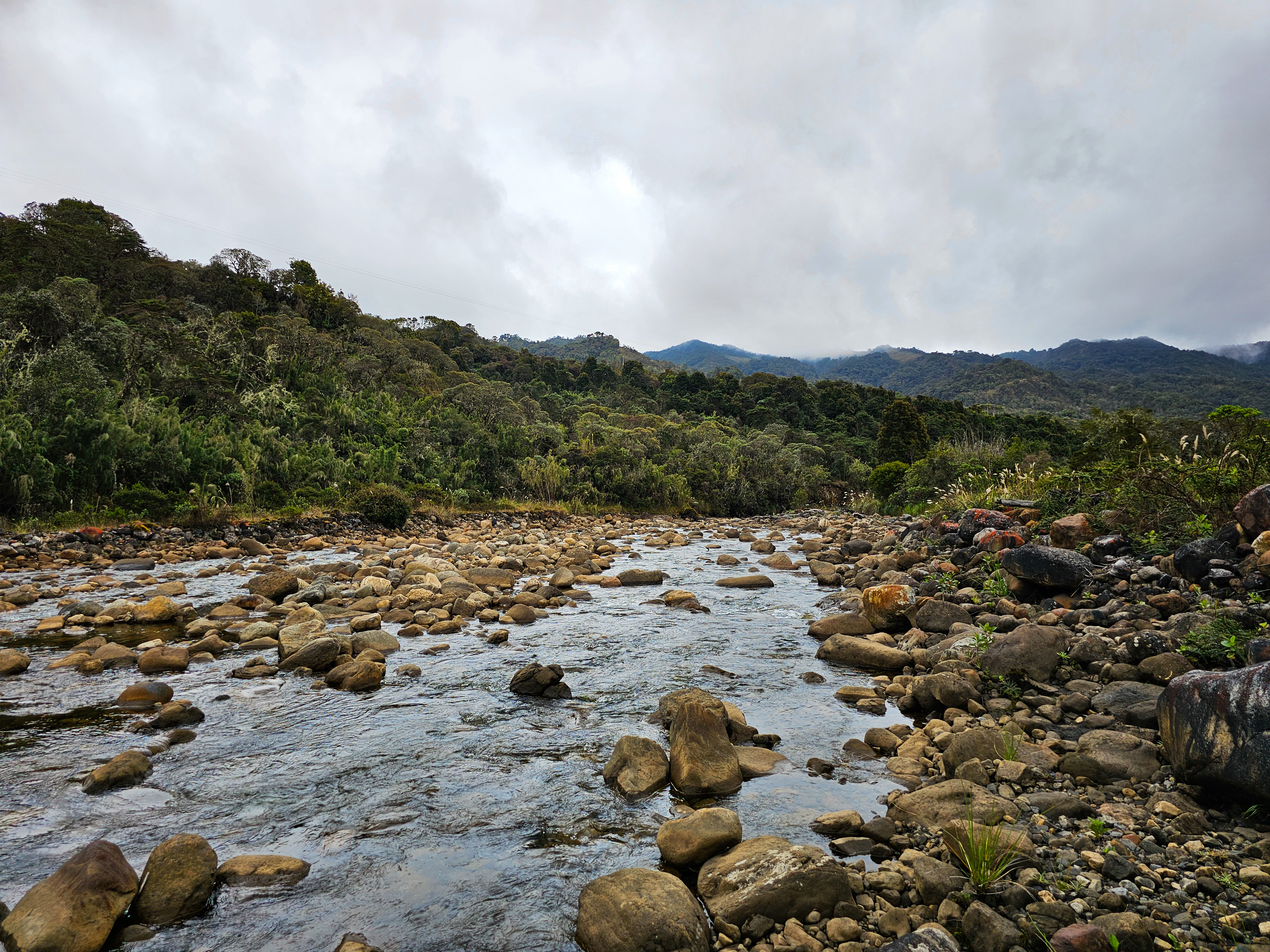 Con más de 76,600 hectáreas, Chingaza protege importantes cuencas hidrográficas, como las del río Negro y el río Guatavita, y resguarda especies endémicas de flora y fauna