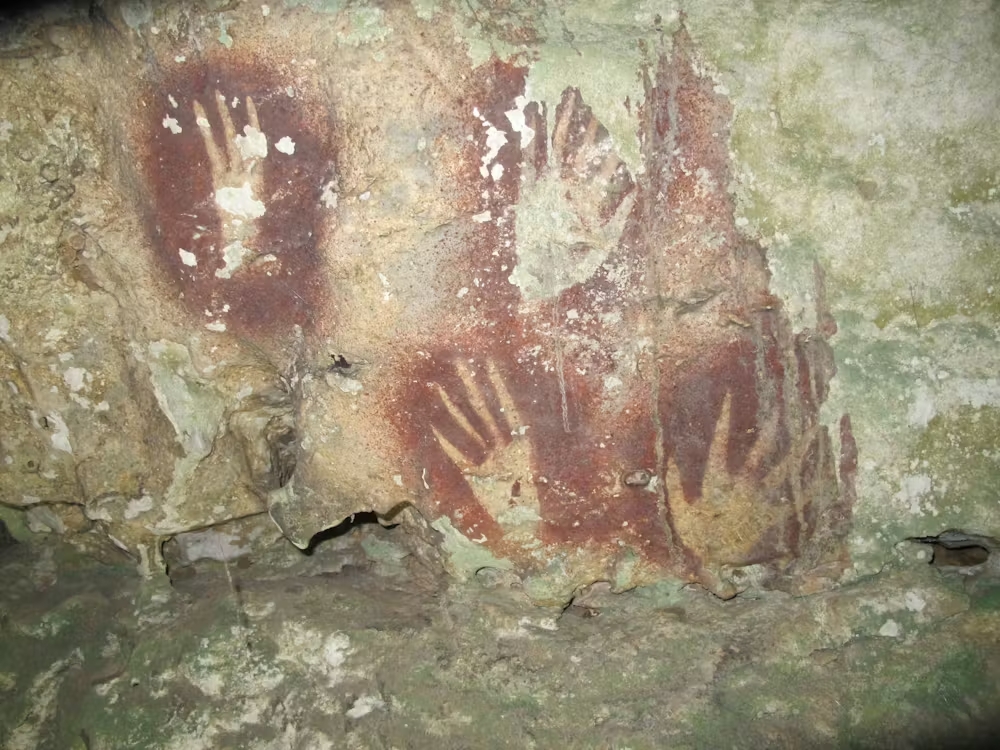"Bajo capas de depósitos minerales, se pueden ver en las paredes de las cuevas unas tenues plantillas de manos rojas, creadas soplando pigmento sobre una mano presionada contra la roca”.