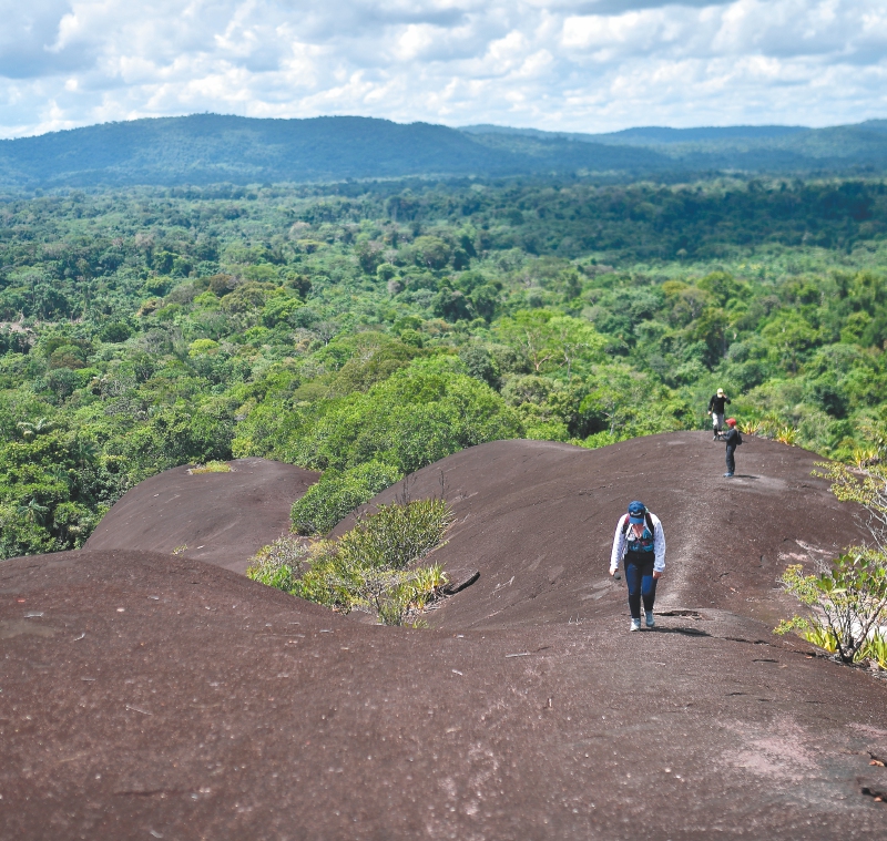 Los 5 Parques Naturales colombianos que están en cuidados intensivos