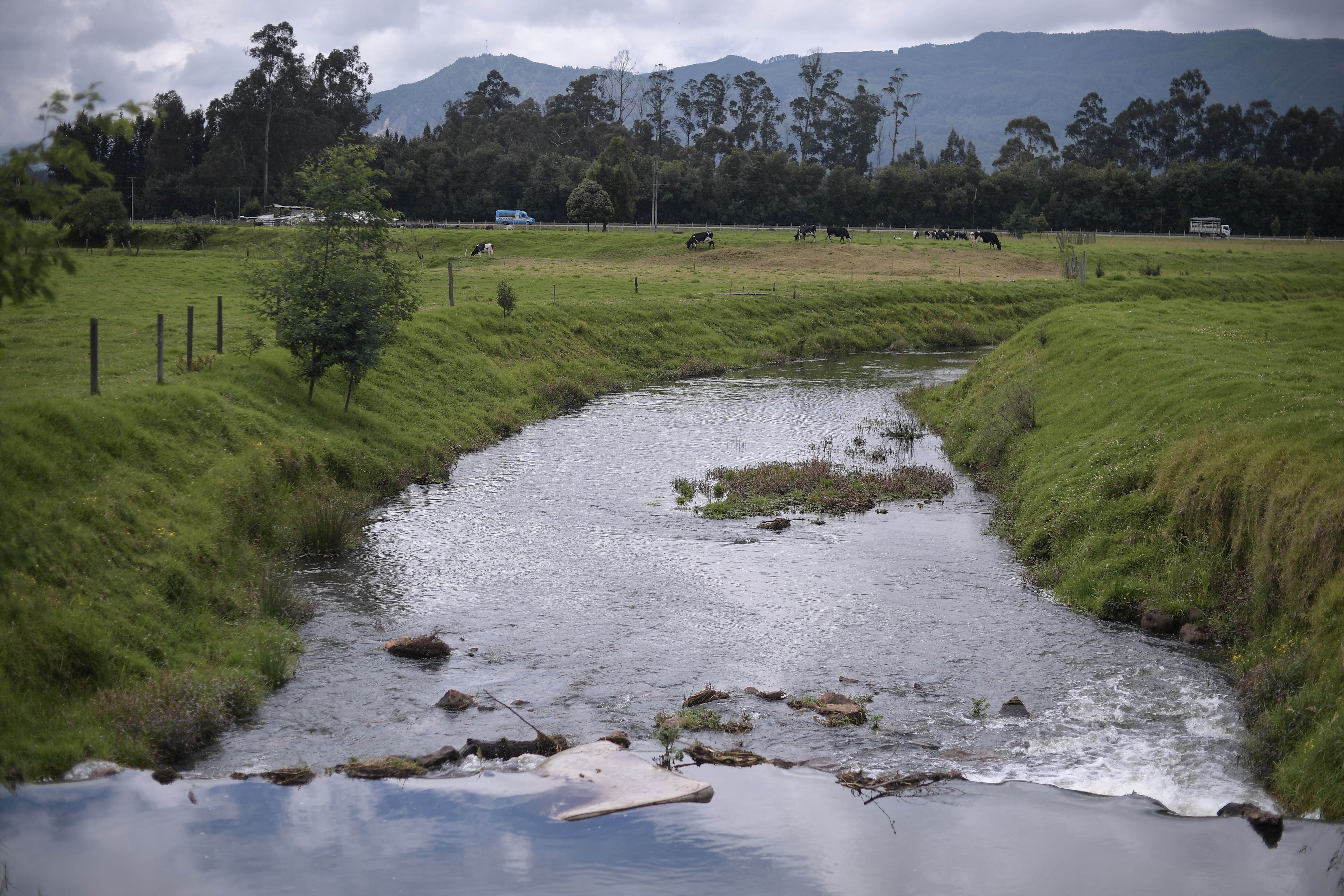 Diferentes aspectos de este municipio de Cundinamarca: Fauna, flora, iglesia, vistas panorámicas y el caudal del río Neusa; Sector en el que la Corporación Autónoma Regional de Cundinamarca (CAR), estudia una solicitud de licencia ambiental para extraer gravilla y arcilla, un proyecto minero que no quieren los habitantes del municipio.