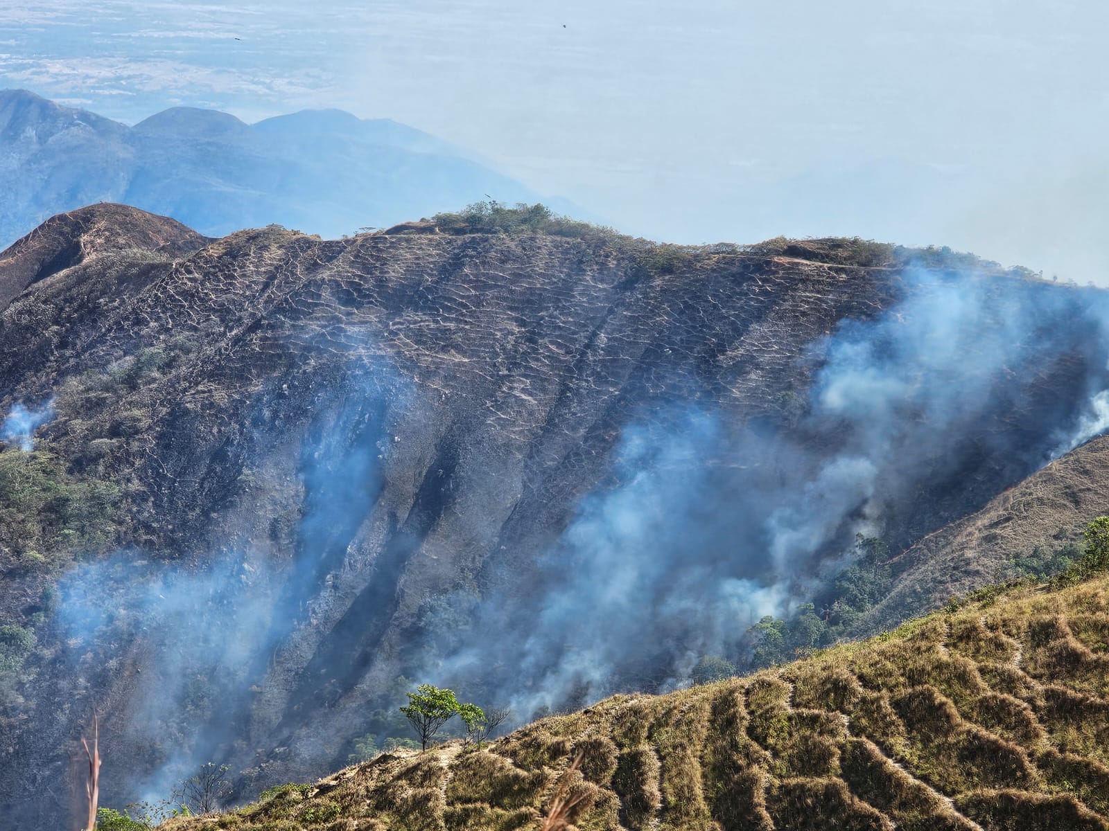 En el país se vienen reportando incendios forestales relacionados con las altas temperaturas desde la semana pasada.