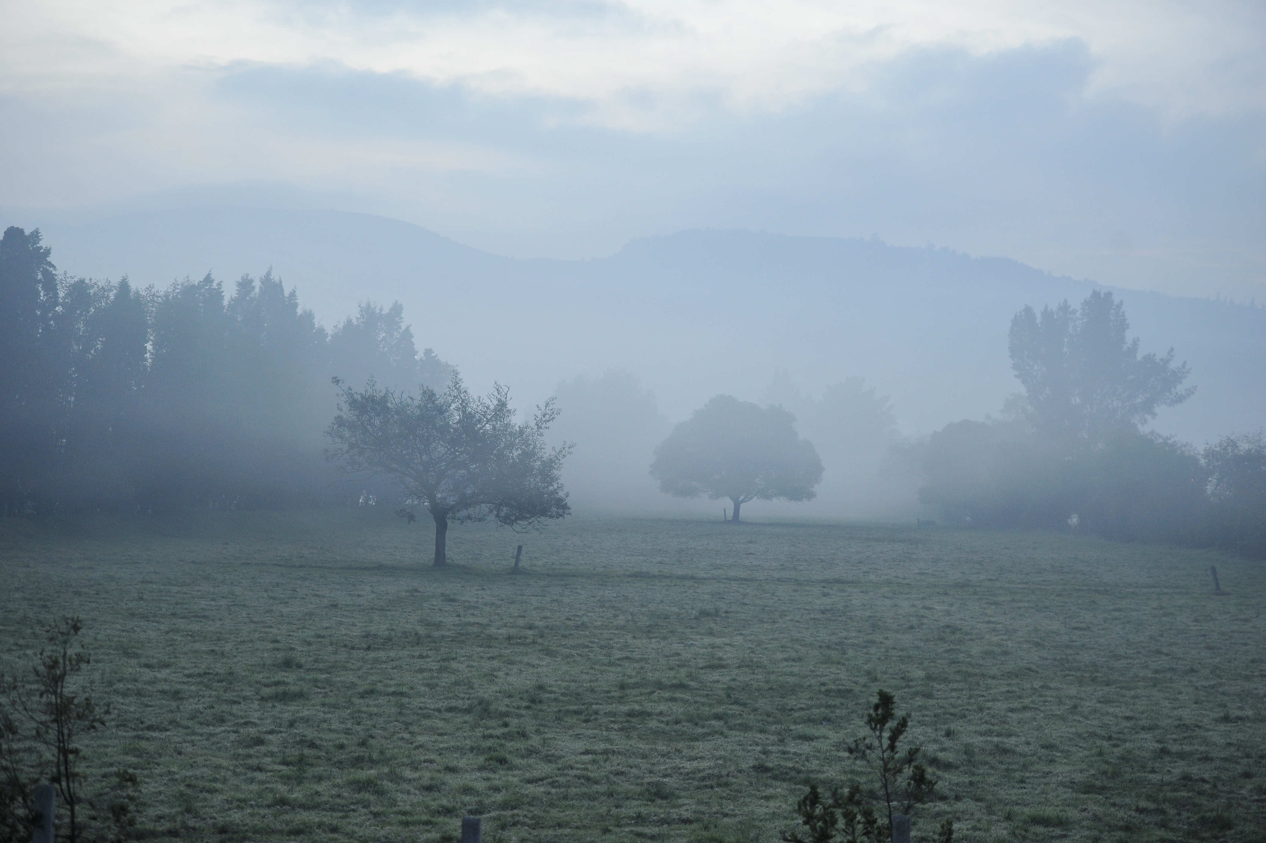 Concluyeron sesiones de concertación sobre el futuro ambiental de la Sabana de Bogotá