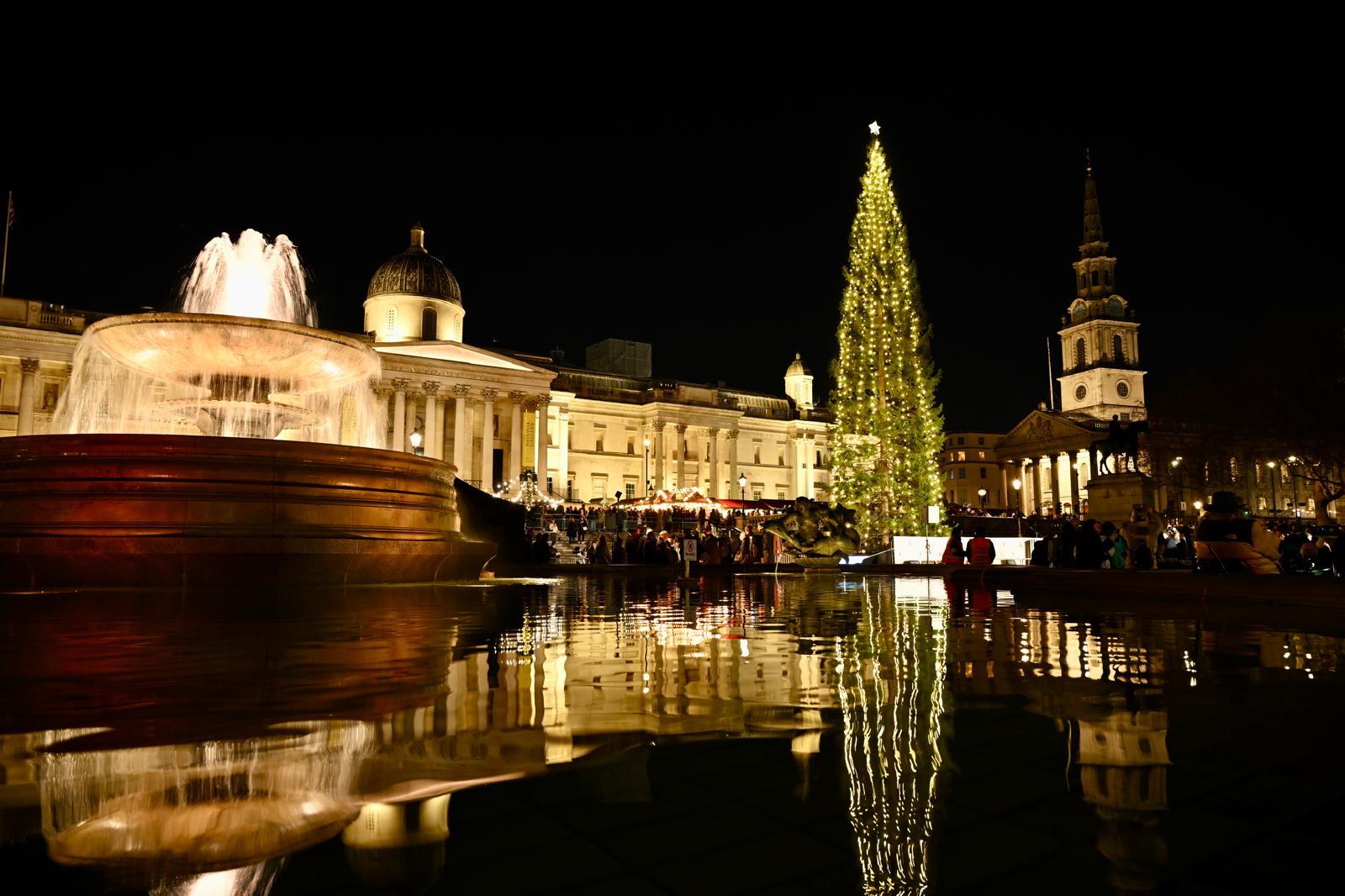 El emblemático árbol de Navidad de Trafalgar Square ya vuelve a brillar en Londres, manteniendo viva una tradición que se remonta a 1947. Este abeto noruego, obsequio anual de la ciudad de Oslo como símbolo de agradecimiento por el apoyo del Reino Unido durante la Segunda Guerra Mundial.