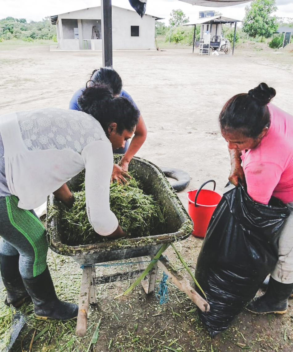 La asociación de mujeres Asomusepaz está integrada por mujeres exguerrillas y de la comunidad en San José del Guaviare.