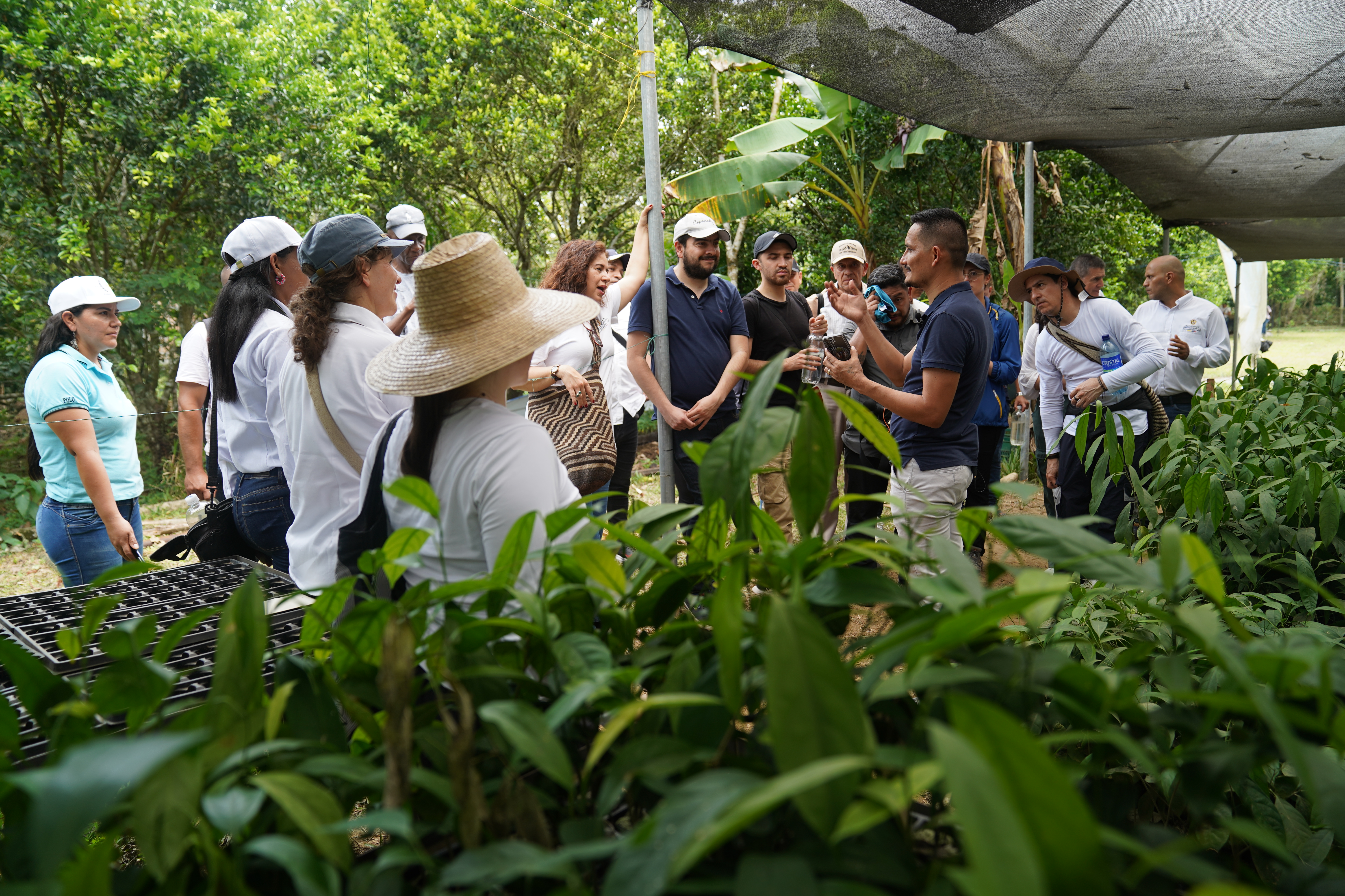 La historia de los ex-FARC que restauran la Amazonia y se presentarán en la COP16