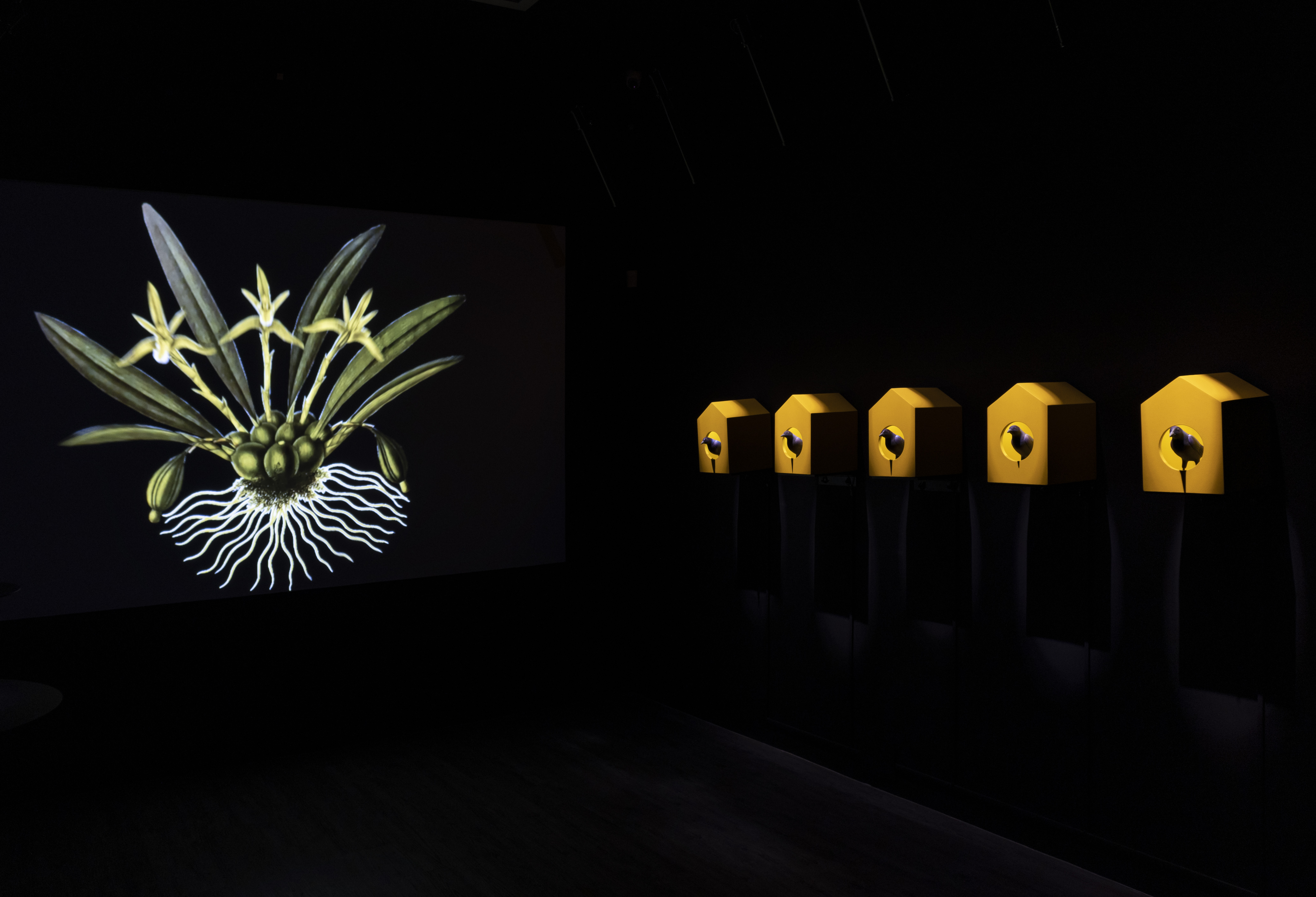 Cinco artistas y tres exhibiciones en la Galería El Museo