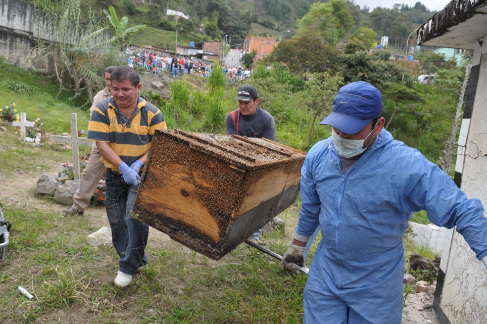 El expediente del coronel Miguel David Bastidas que no permitió su ascenso a general