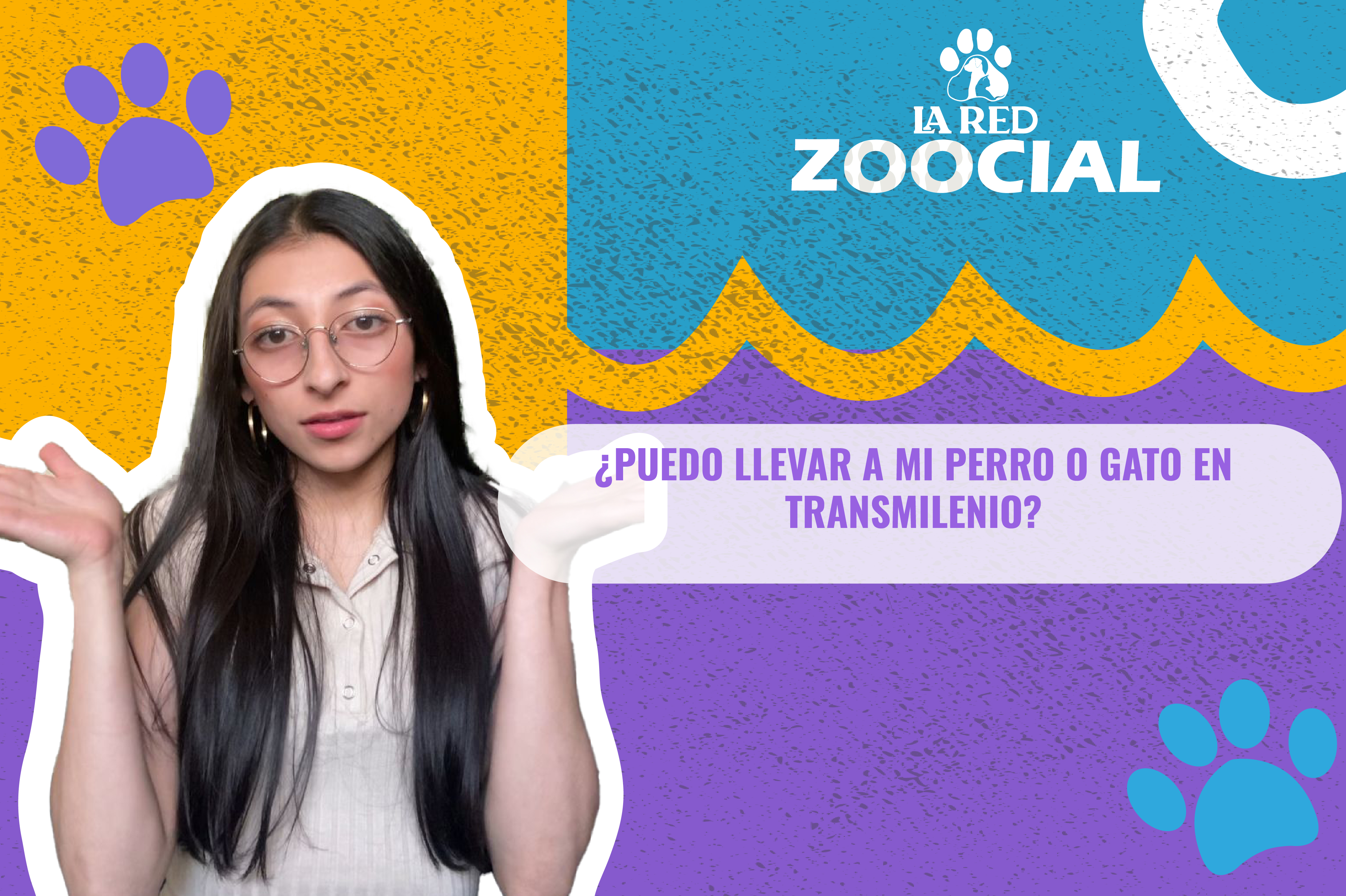 (VIDEO) ¿Cómo viajar con su mascota en el Sistema Transmilenio?