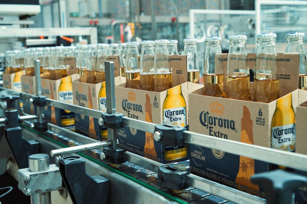 Piloto mundial que transforma los residuos de la cebada en empaques sustentables