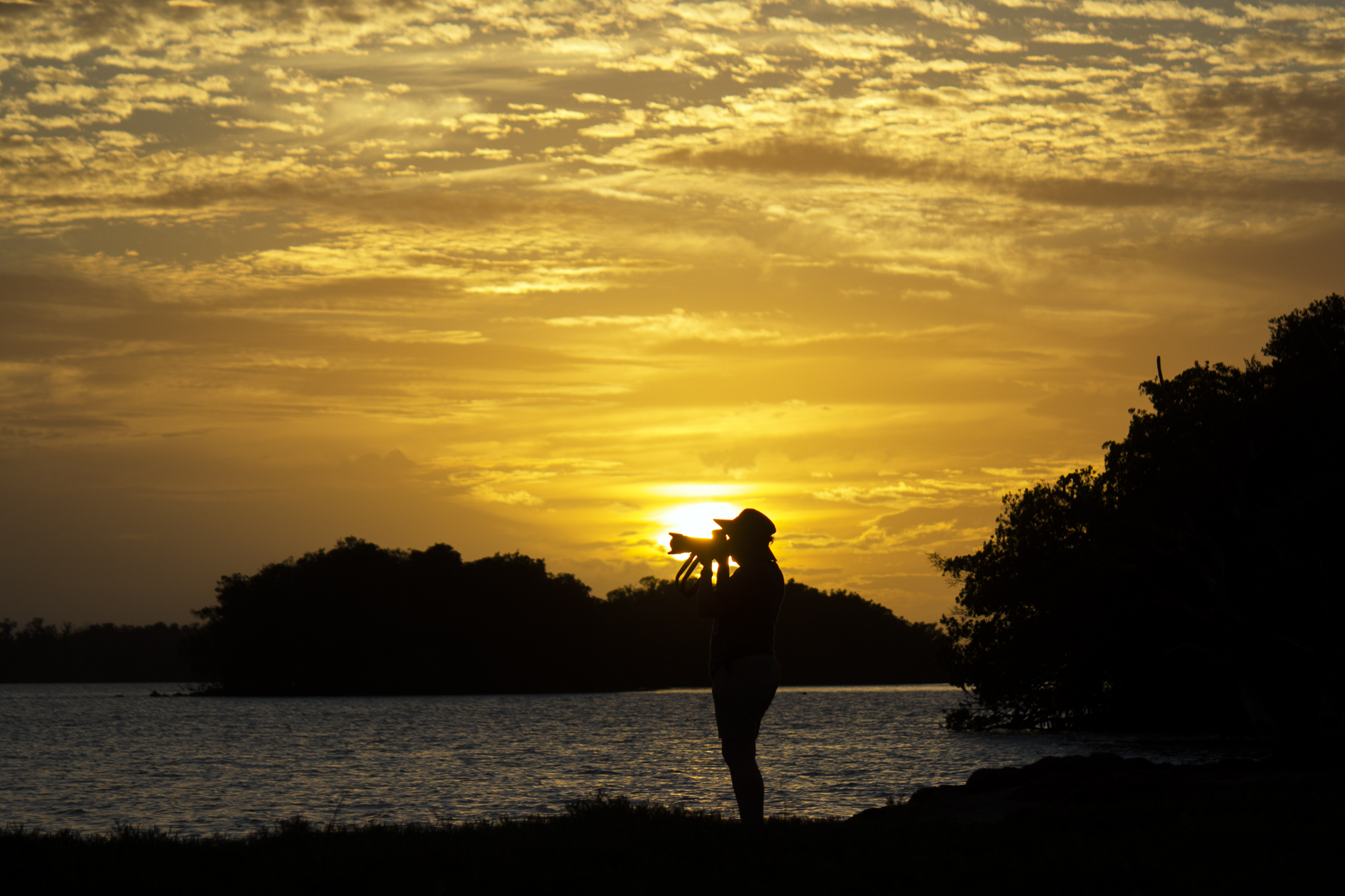 Entre playas, pantanos y manglares: así es el encanto verde de Miami