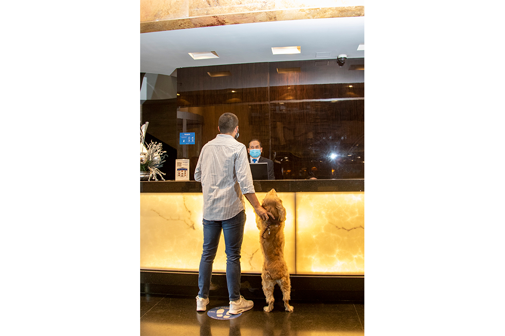 Turismo ‘pet-friendly’: una tendencia en crecimiento