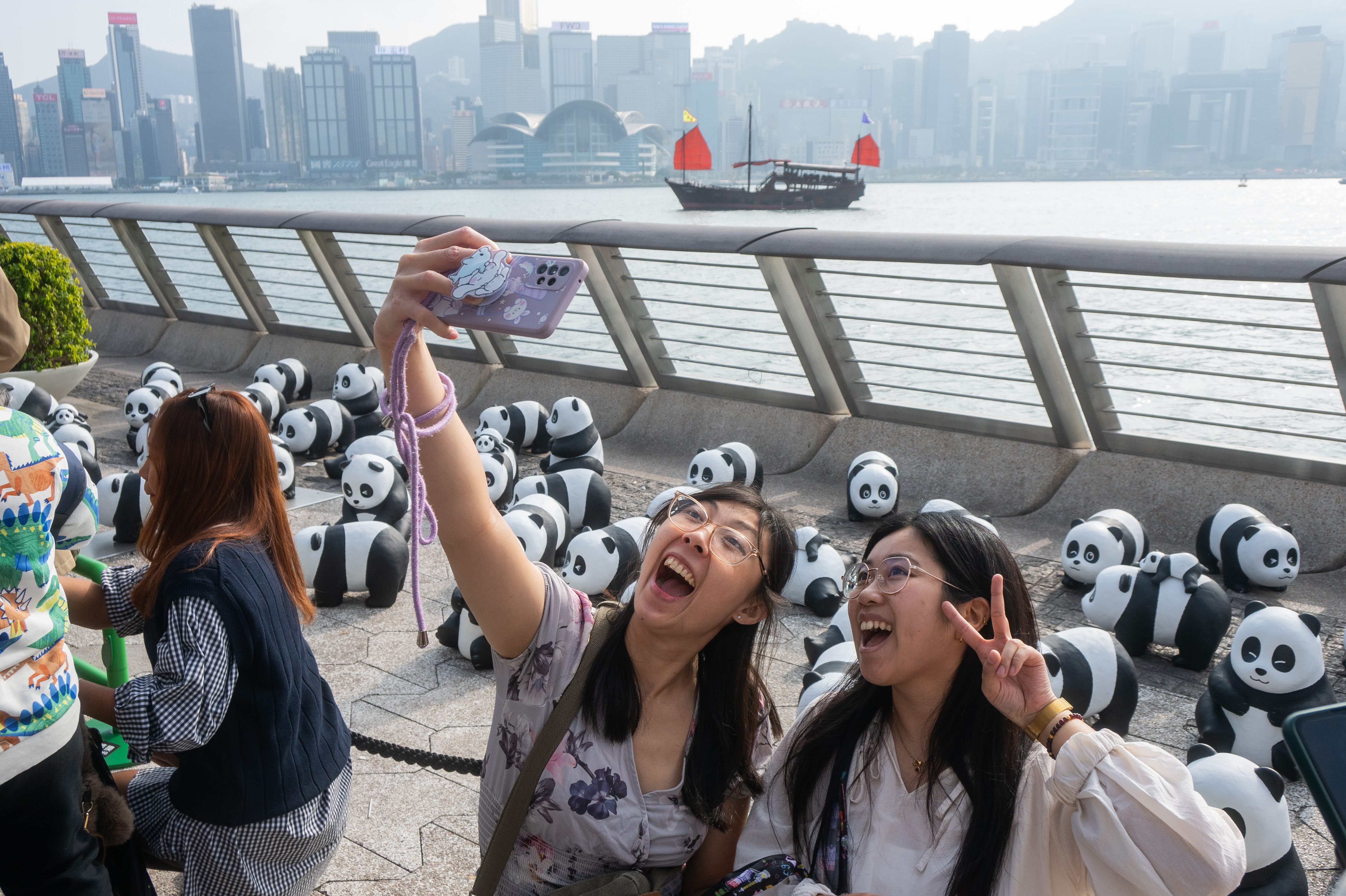 Pandas bebés: la apuesta de Hong Kong para recuperar turistas