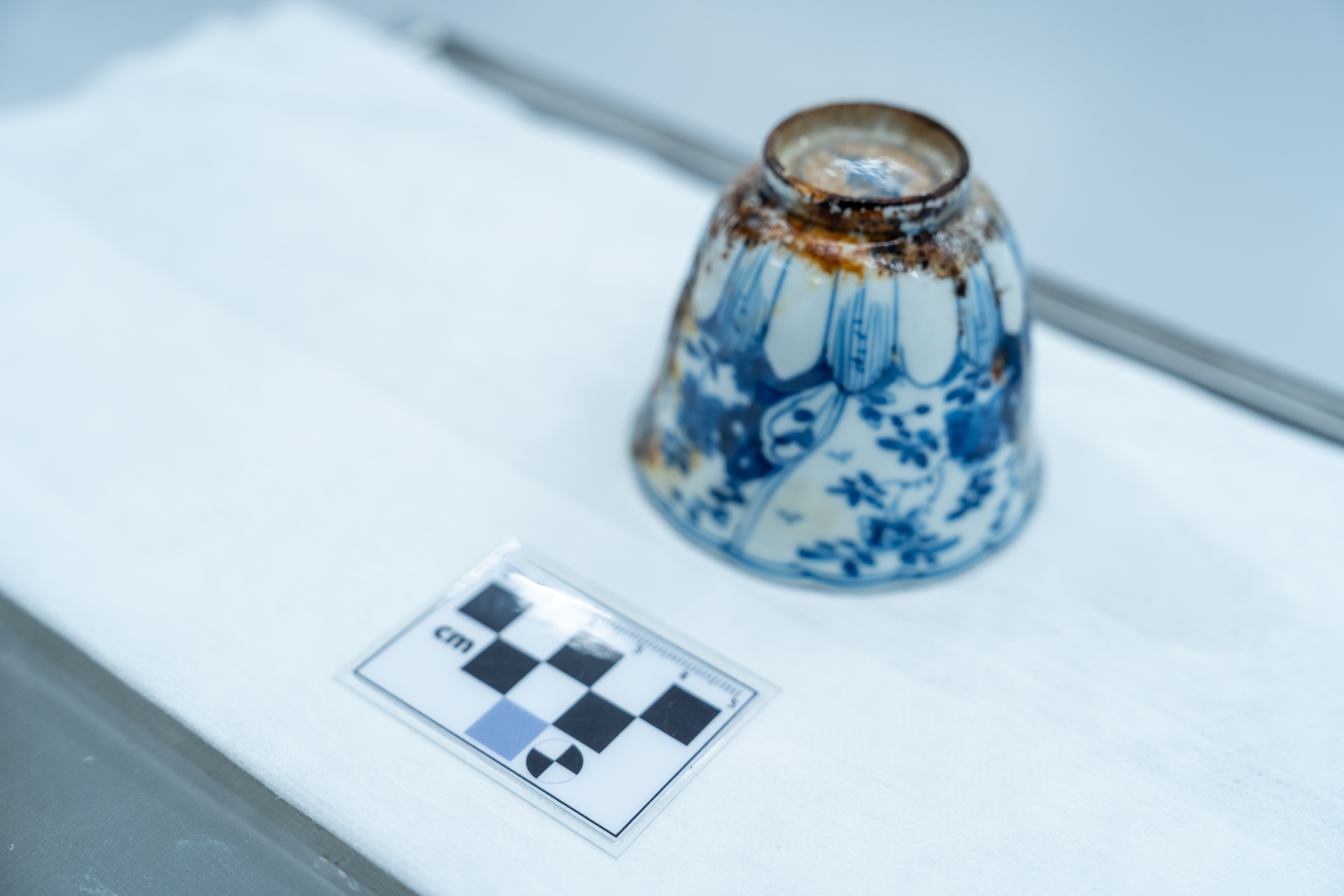 Imagen de una de las porcelanas recolectadas en noviembre de 2025.