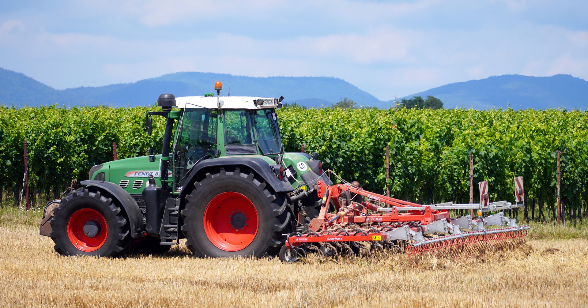 El sector agropecuario empujó el crecimiento de la economía en enero