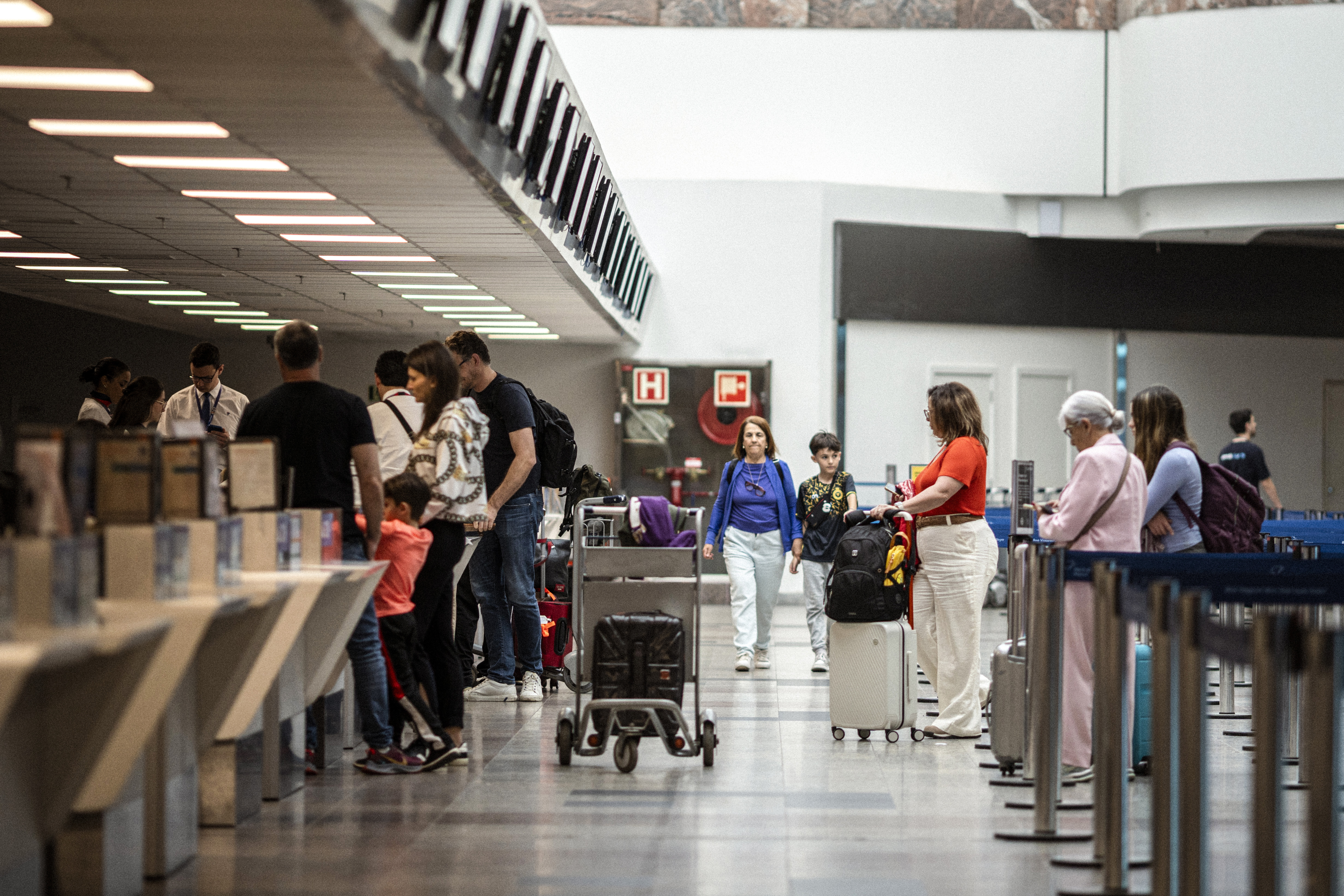 Crecimiento sostenido: se movilizaron más de 46,5 millones de pasajeros en 2024