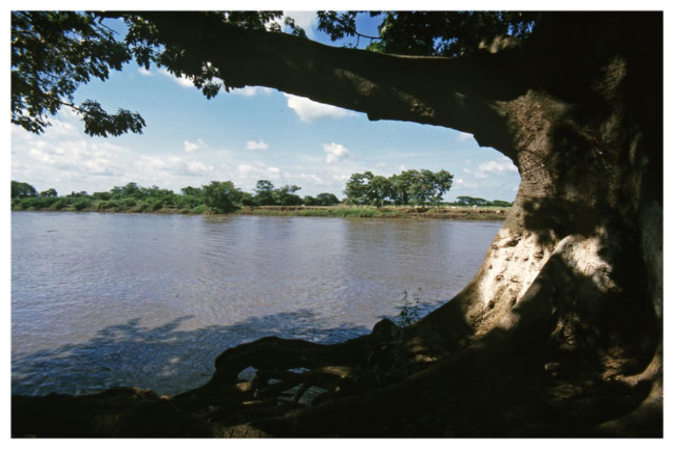 El río: territorios posibles