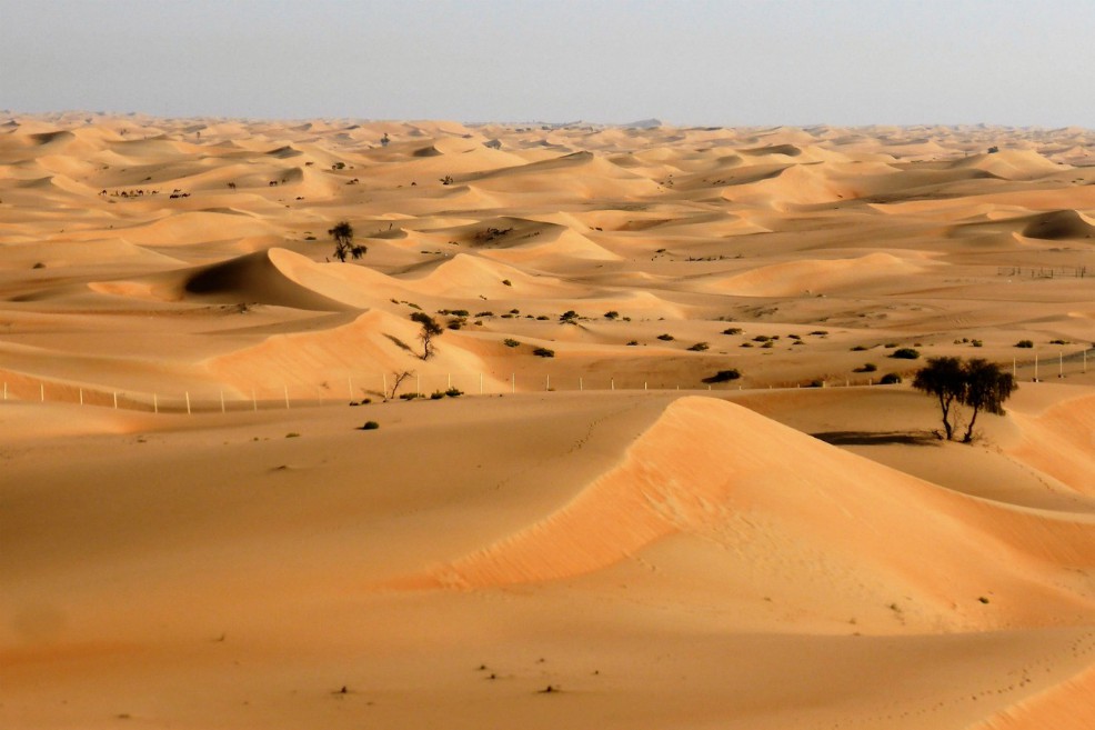 El Sahara oscila entre clima seco y húmedo cada 20.000 años