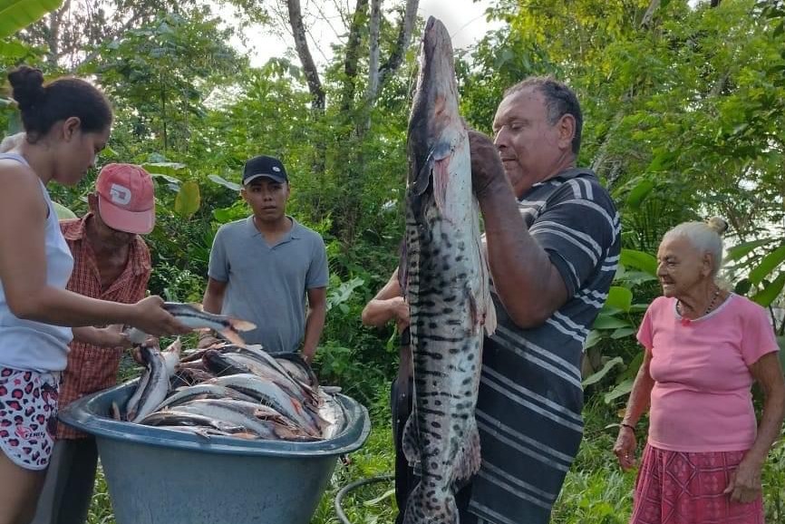 Investigan si la minería está detrás de la mortandad de peces en Santander