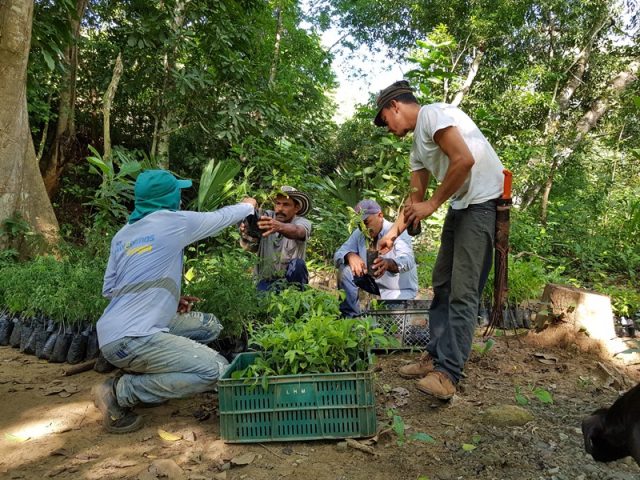 Estos son los retos del Ministerio de Agricultura para el último año del Gobierno